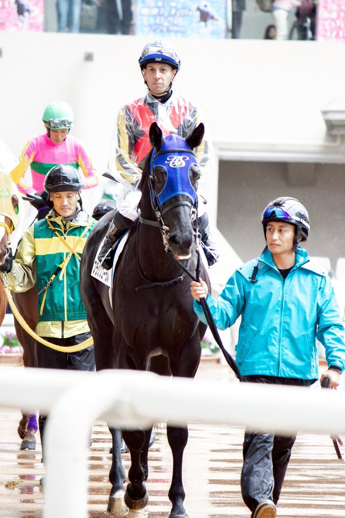 競馬写真集③（2025年12月後半）｜ななしの緑