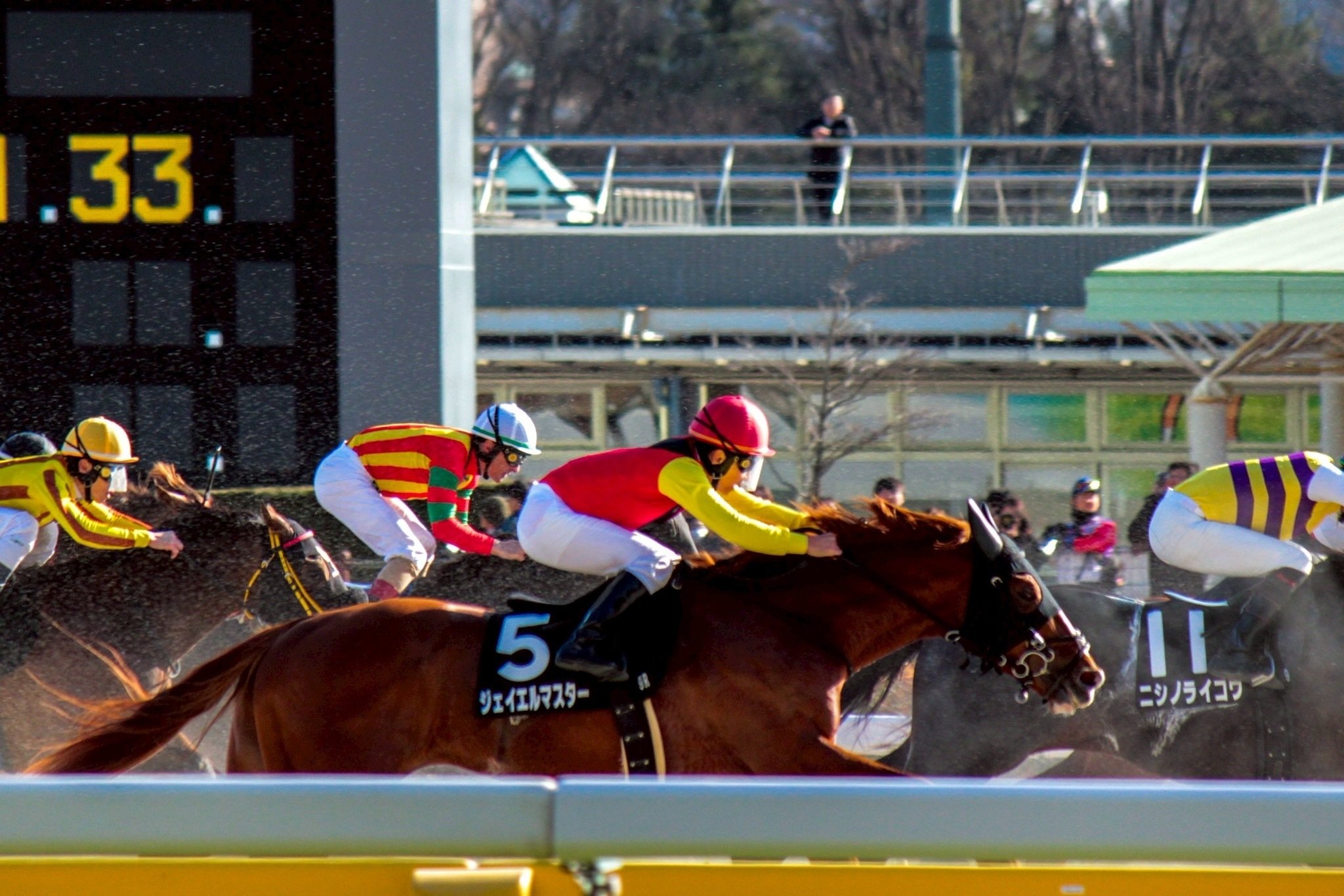 競馬写真集④（2026年1月〜2月）｜ななしの緑