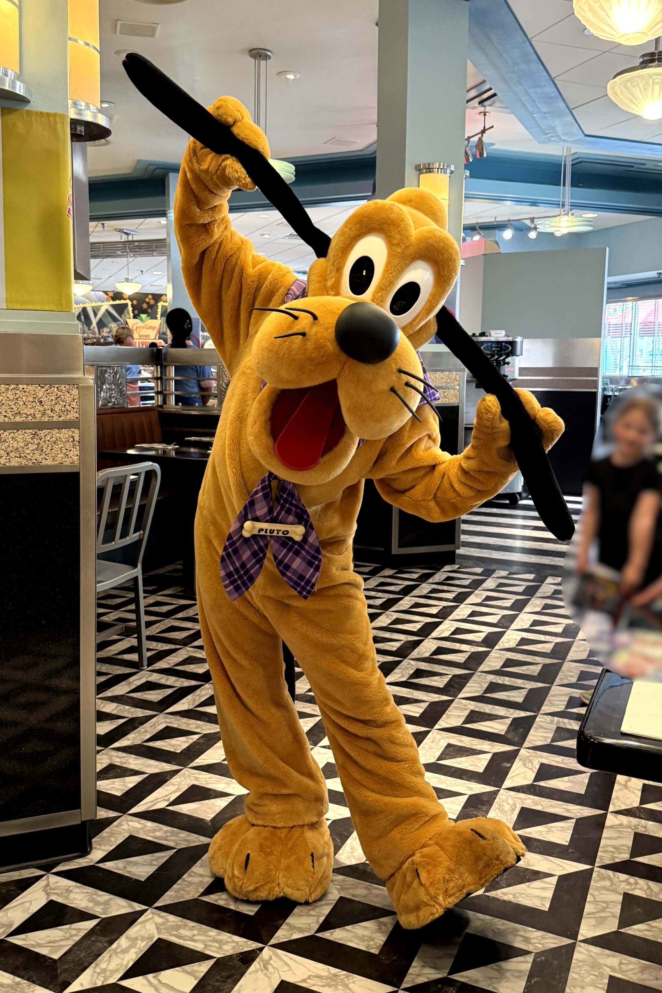 2025年フロリダWDWで会ったキャラクターまとめ｜陽花