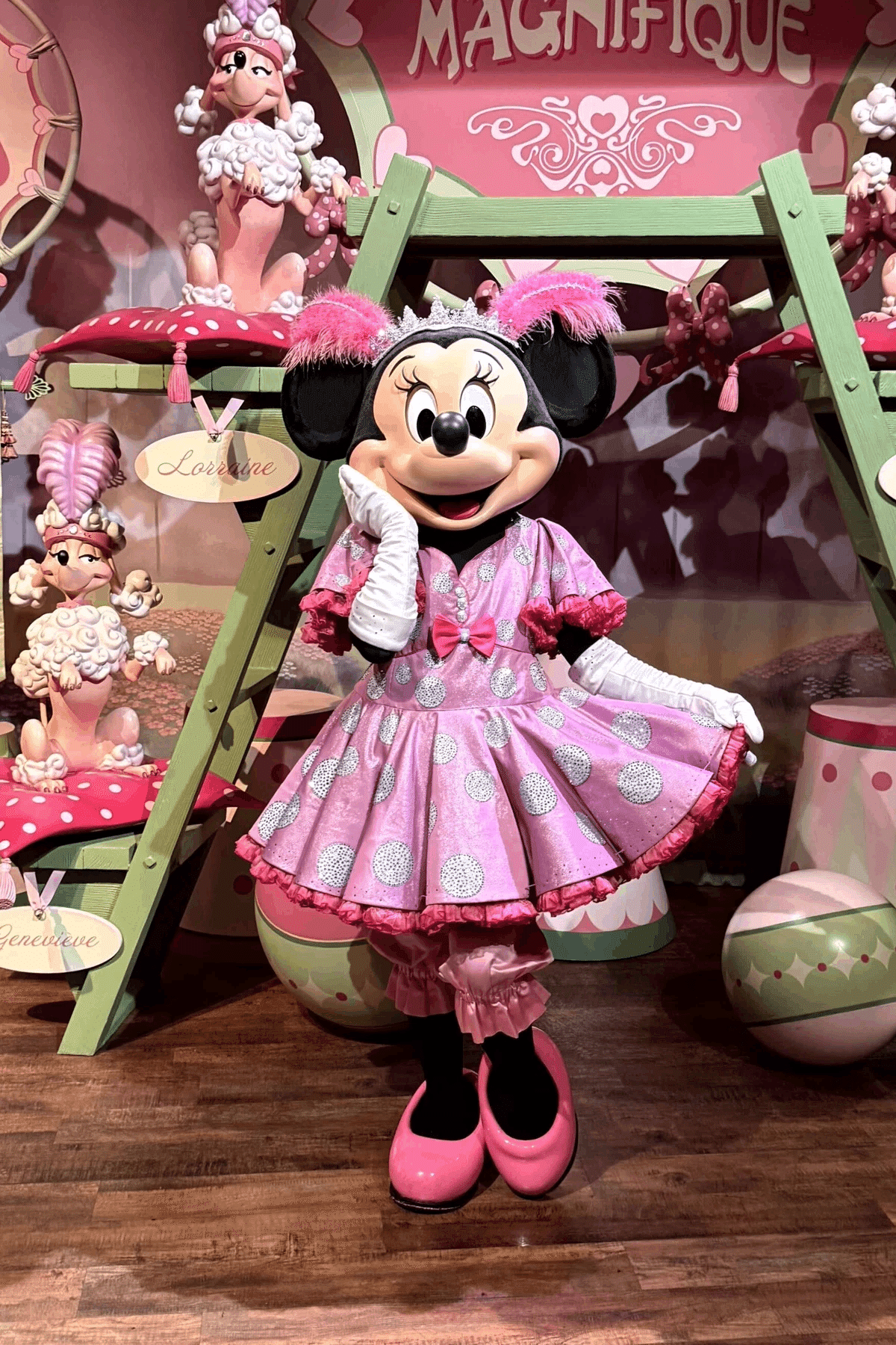 2025年フロリダWDWで会ったキャラクターまとめ｜陽花