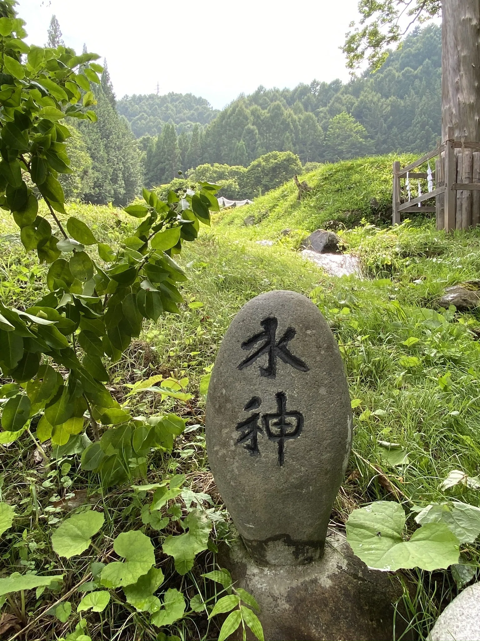 諏訪大社｜7年周期の再訪に向けて──視点を定める準備｜Rico｜神仏