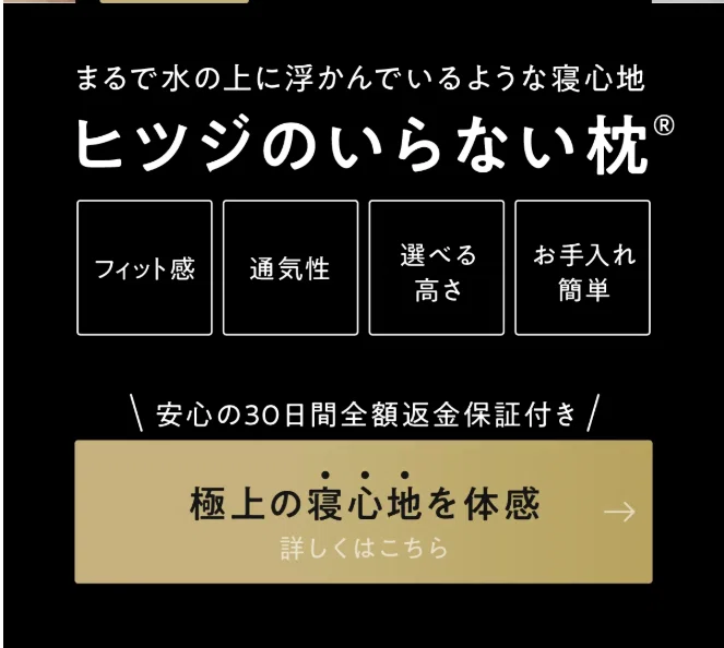 言われてみれば欠点は無い」 - ひつじのいらない枕 至極を買いました
