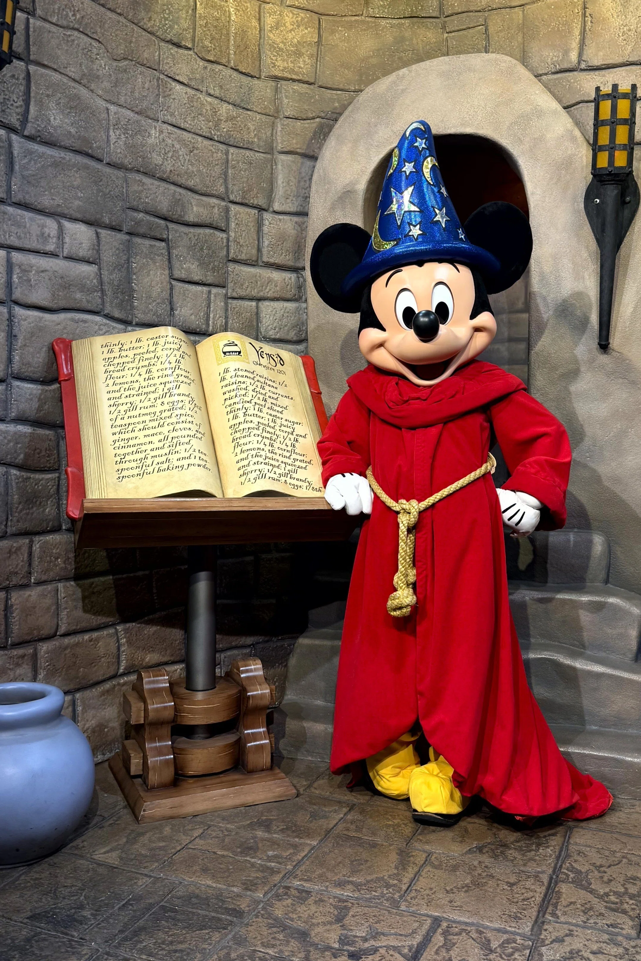 2025年フロリダWDWで会ったキャラクターまとめ｜陽花