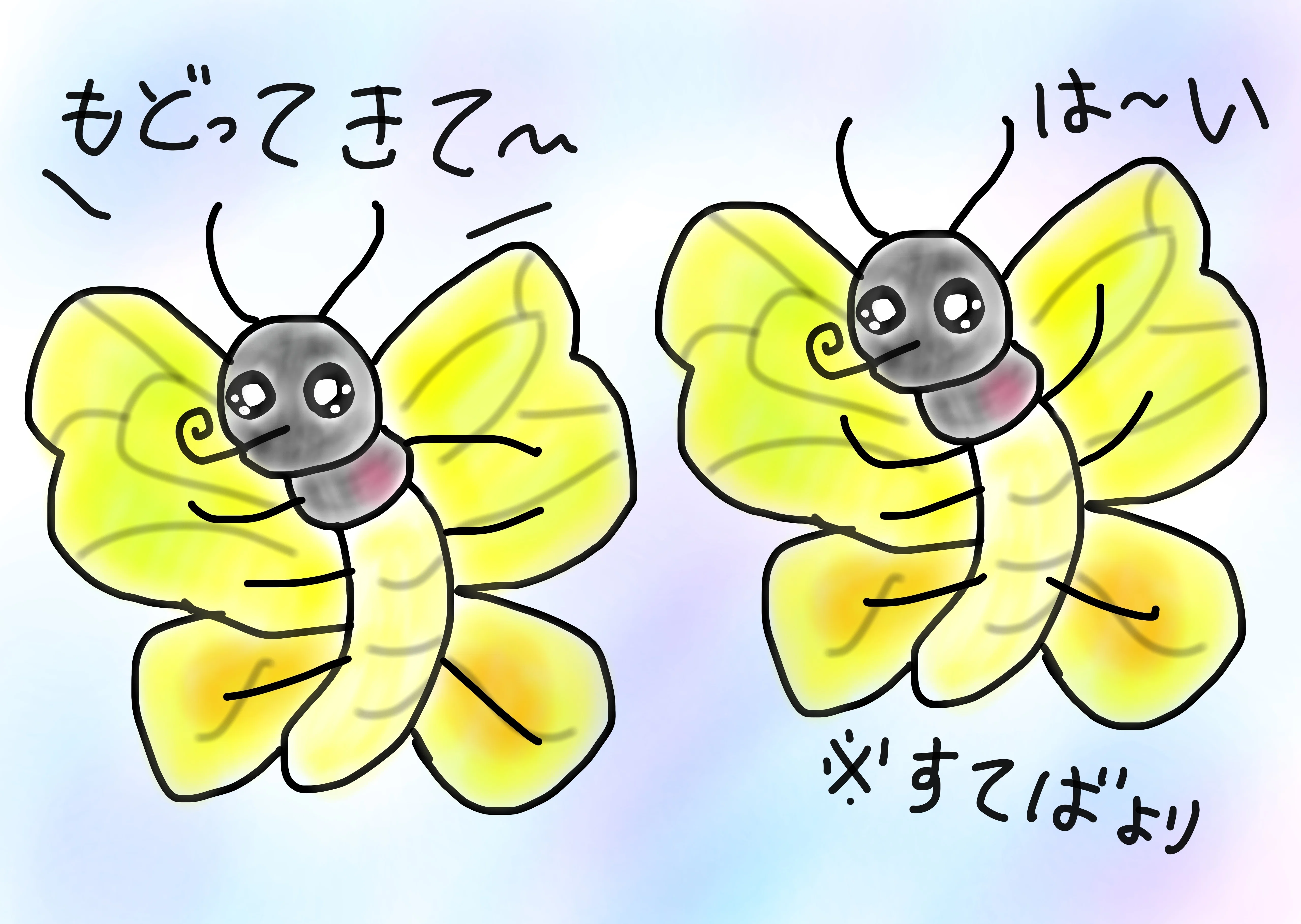 ゴクラクトリバネアゲハが好き｜九日（このえ）