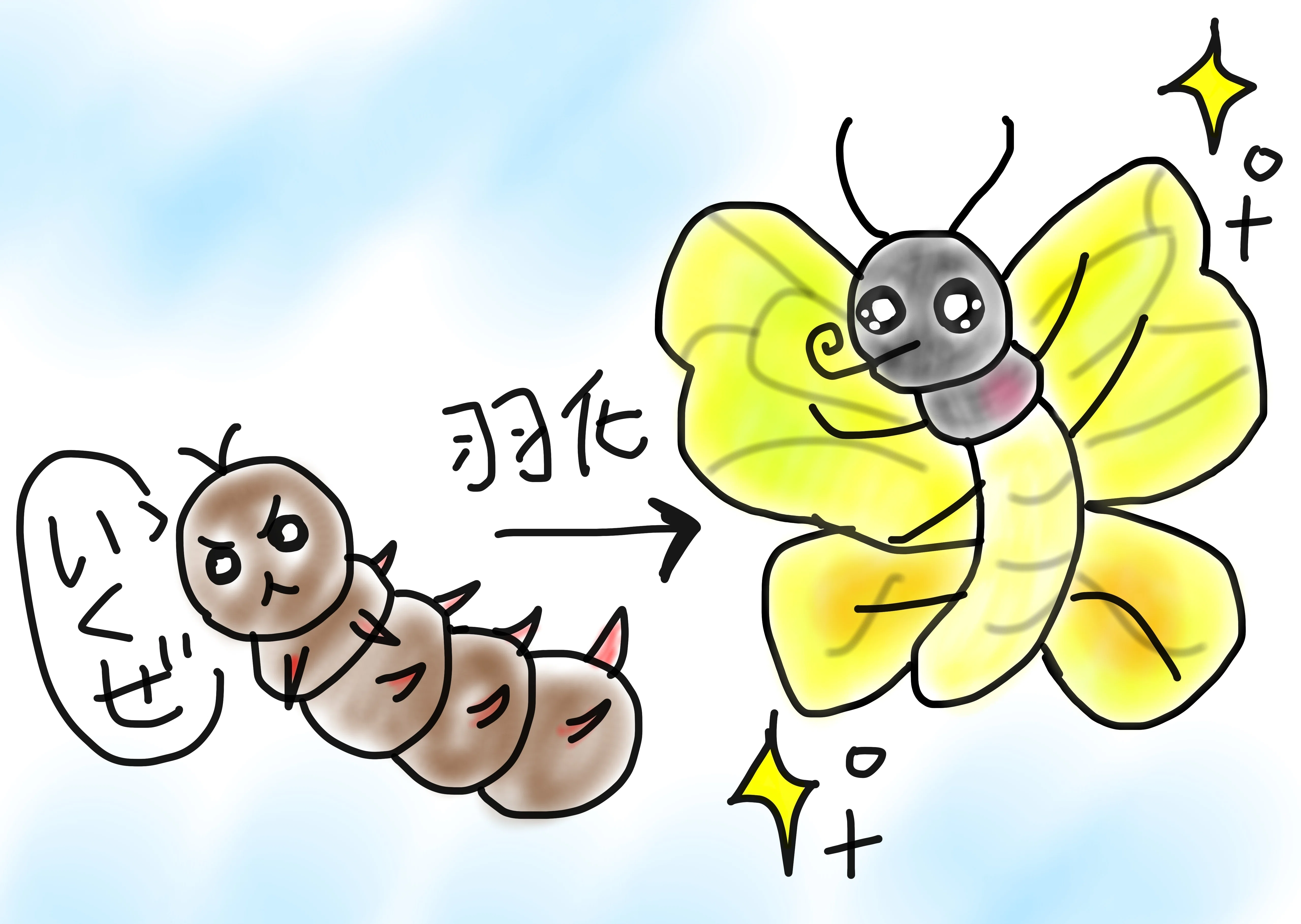 ゴクラクトリバネアゲハが好き｜九日（このえ）