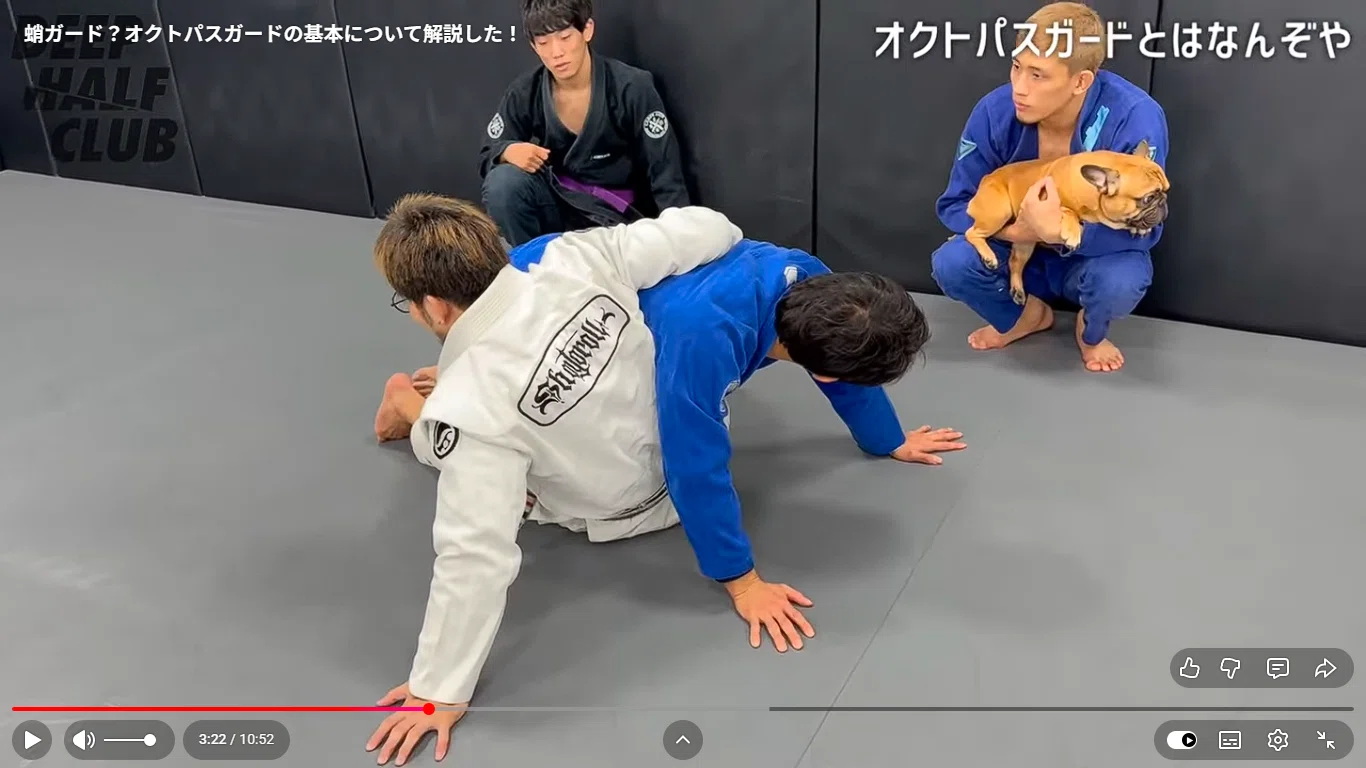 オクトパスの組手・組足を徹底解説！｜柔術哲学