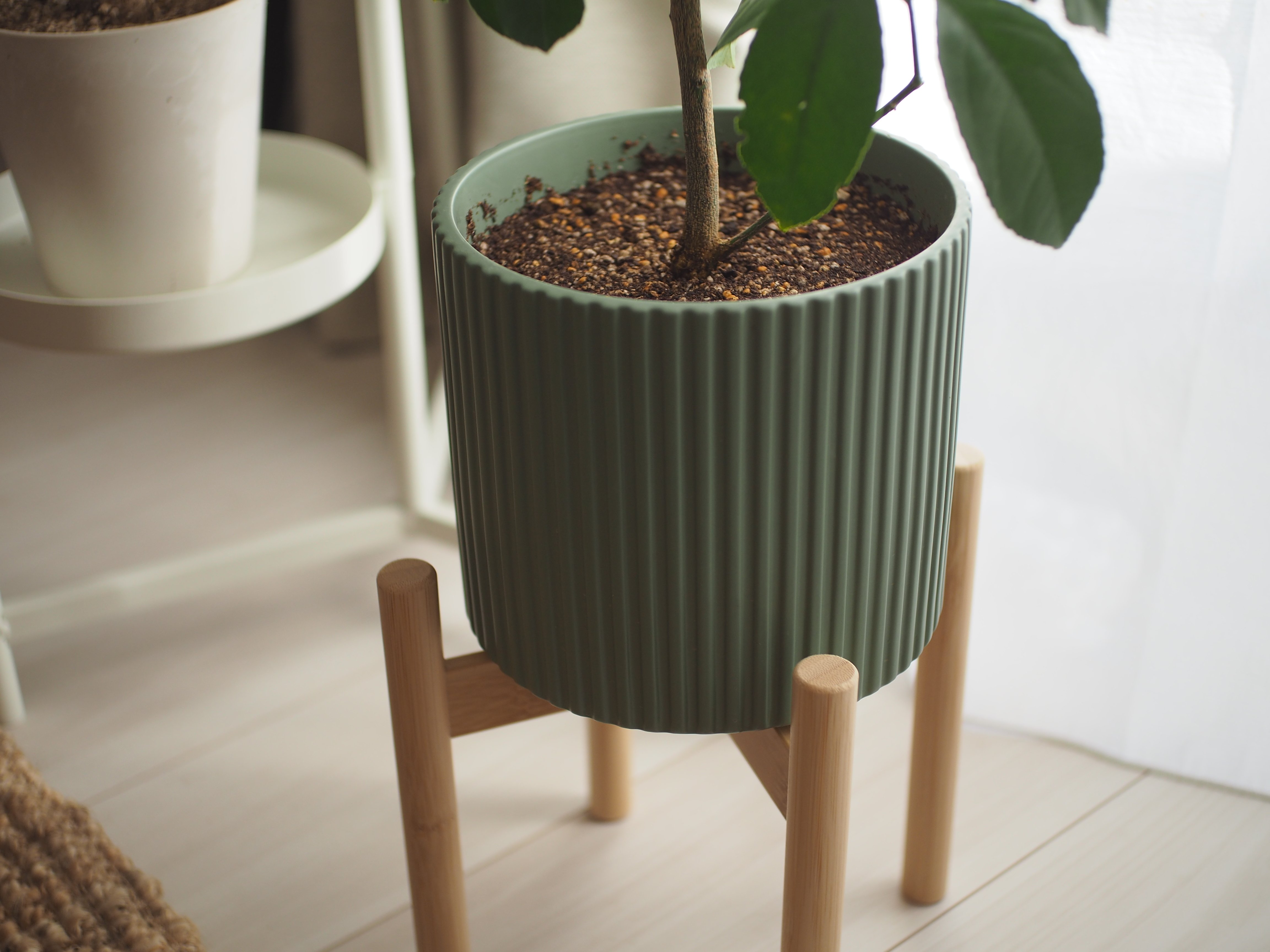 IKEAのOLIVBLADとDAKSJUSで、窓際の植物スペースをスッキリ整える。｜atete