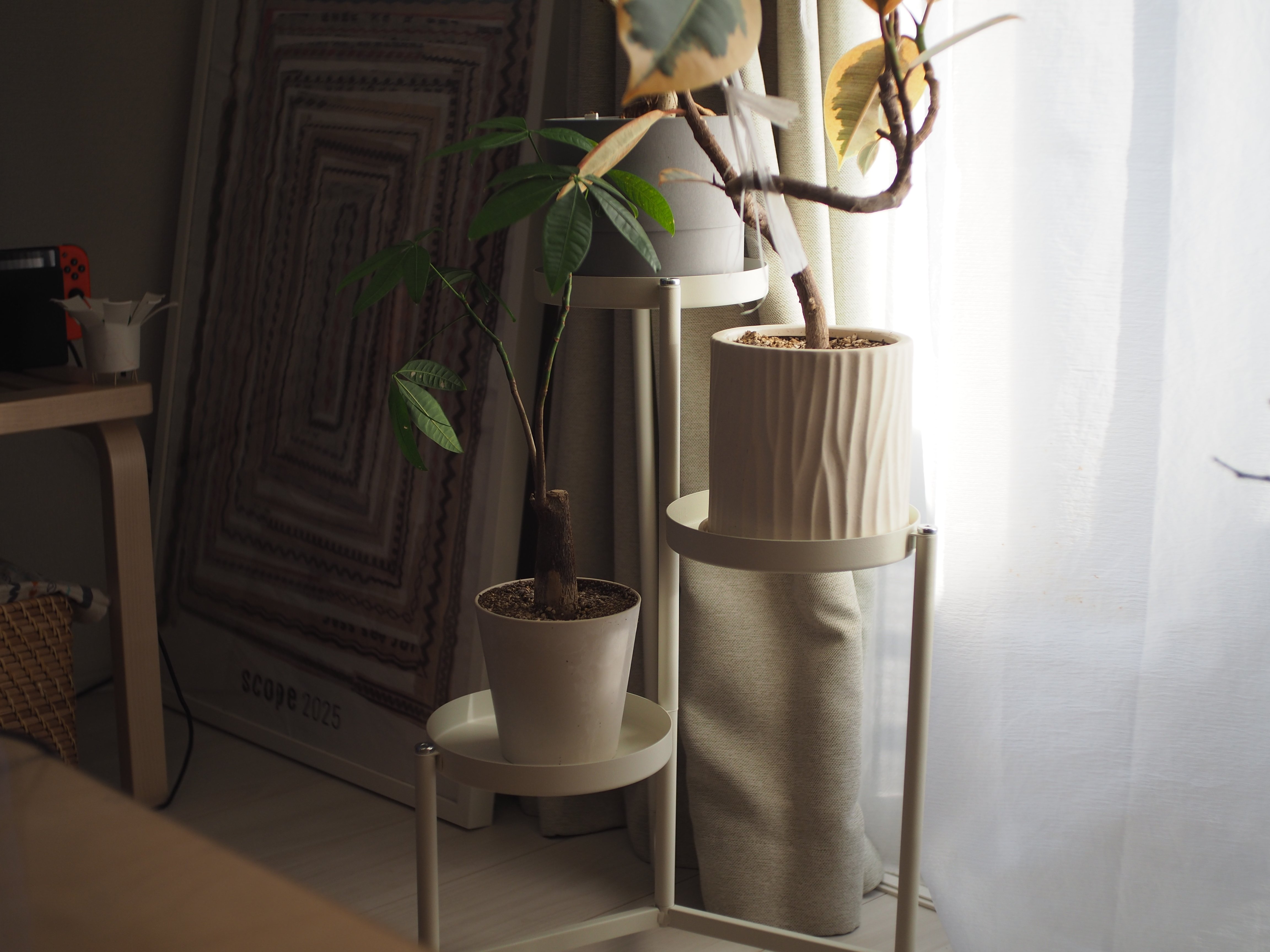 IKEAのOLIVBLADとDAKSJUSで、窓際の植物スペースをスッキリ整える。｜atete