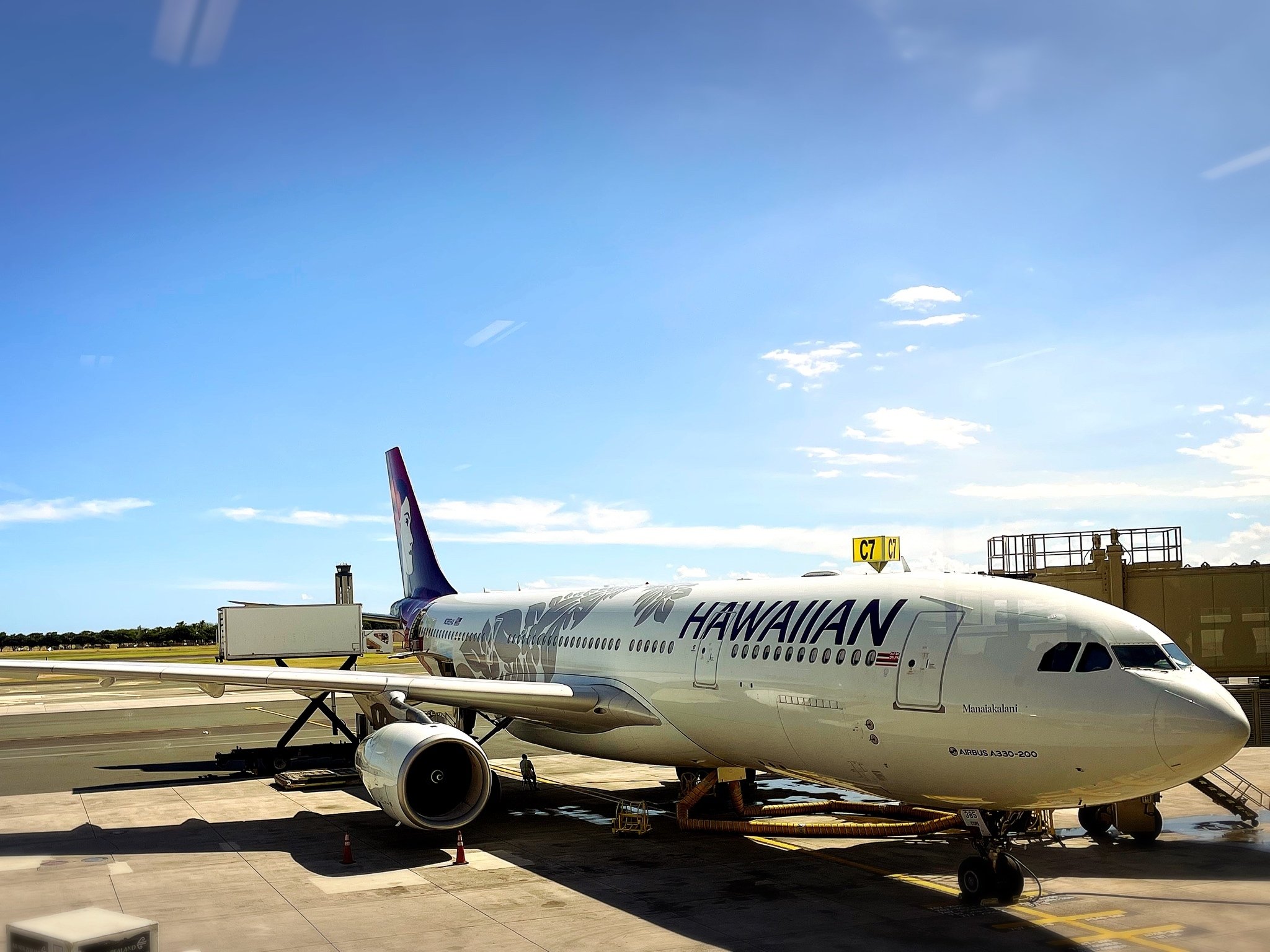 HAWAIIAN AIRLINES　ラゲッジベルト ハワイアン航空 ハワイアン航空 スーツケースベルト ハワイアンエアライン スーツ