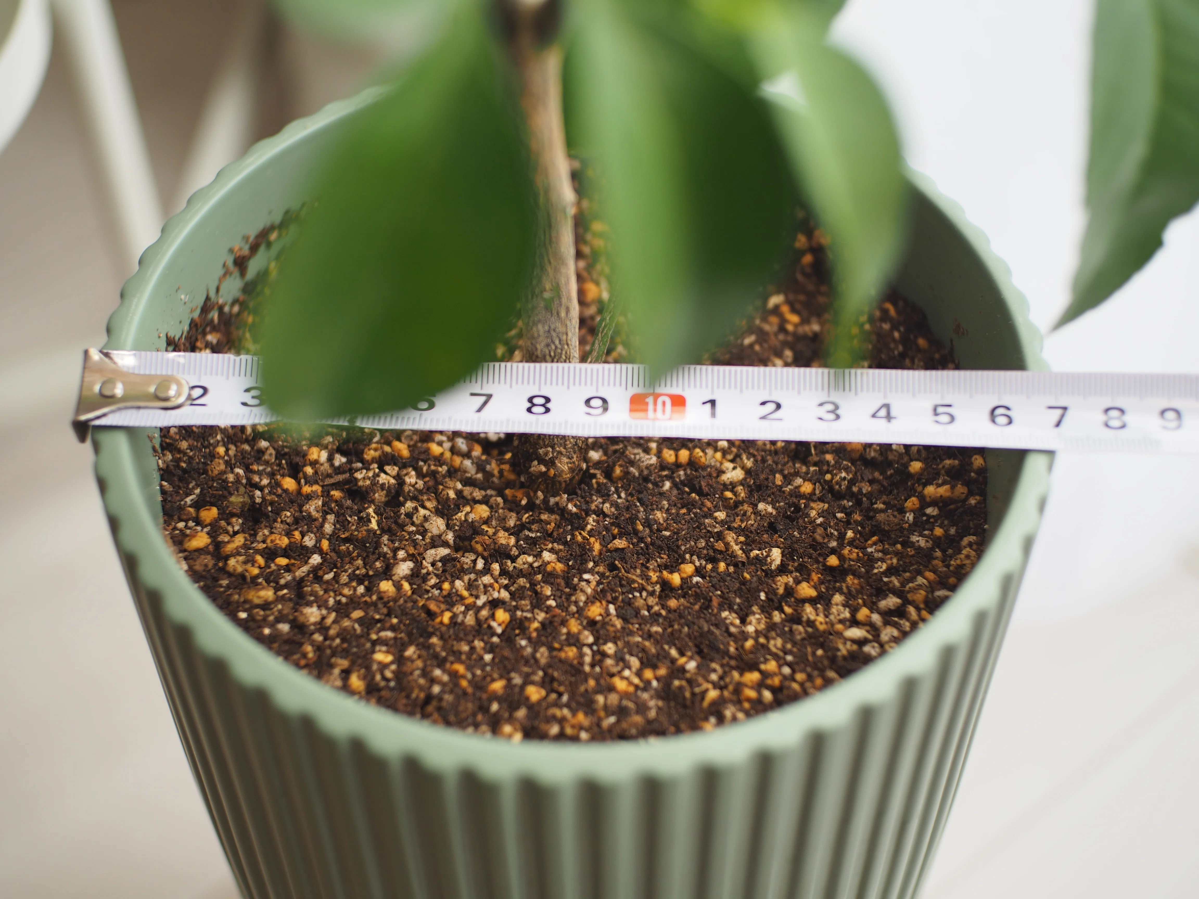 IKEAのOLIVBLADとDAKSJUSで、窓際の植物スペースをスッキリ整える。｜atete