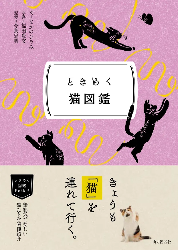 ヤマケイのこんな本】猫の日に読みたい猫の本｜ヤマケイの本
