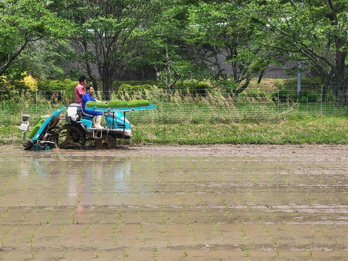 学生団体rindoってなにしてるの？活動紹介！！｜学生団体rindo