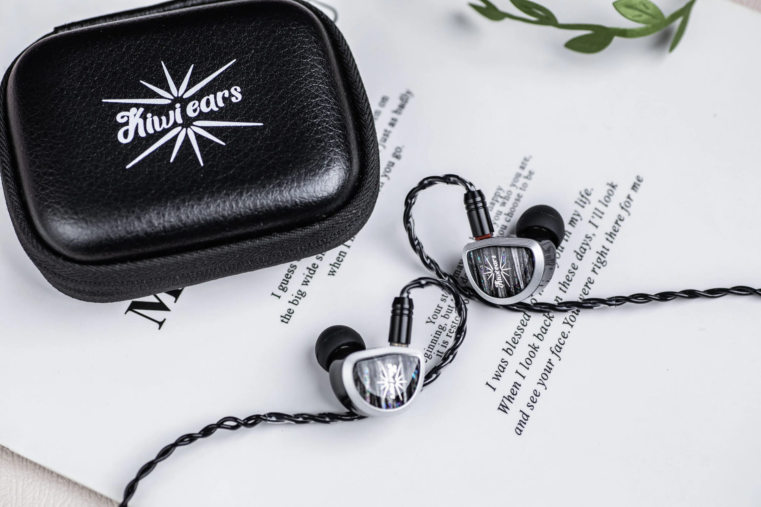 15.3mmの巨大な宝石。Kiwi Ears Aetherが教えてくれた「音を育てる