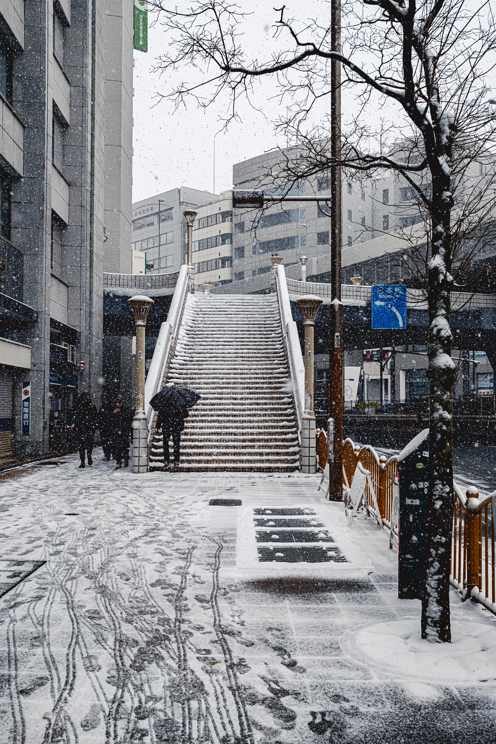 閲覧数10万を一瞬で超えた、上野の雪景色とその納得の理由 | 写真15枚