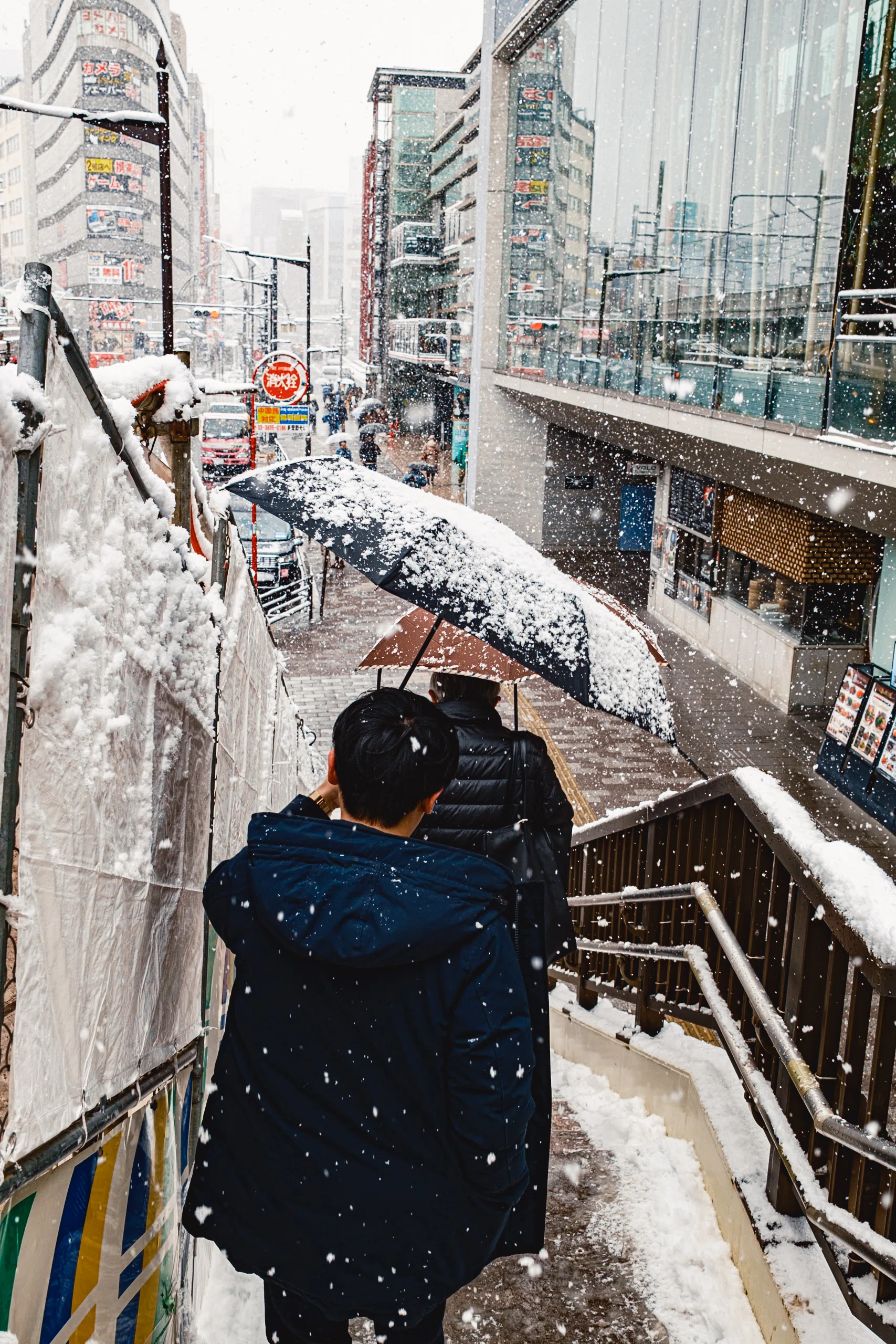 閲覧数10万を一瞬で超えた、上野の雪景色とその納得の理由 | 写真15枚