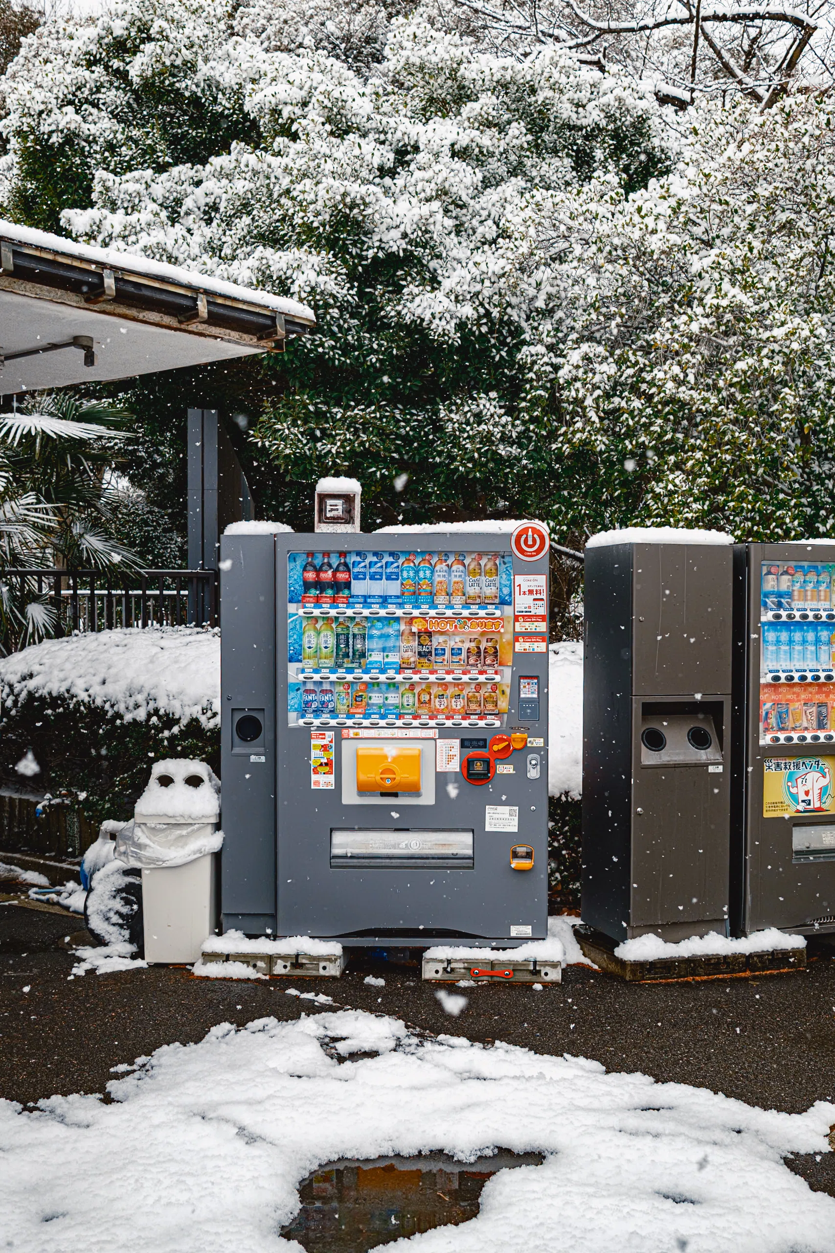 閲覧数10万を一瞬で超えた、上野の雪景色とその納得の理由 | 写真15枚