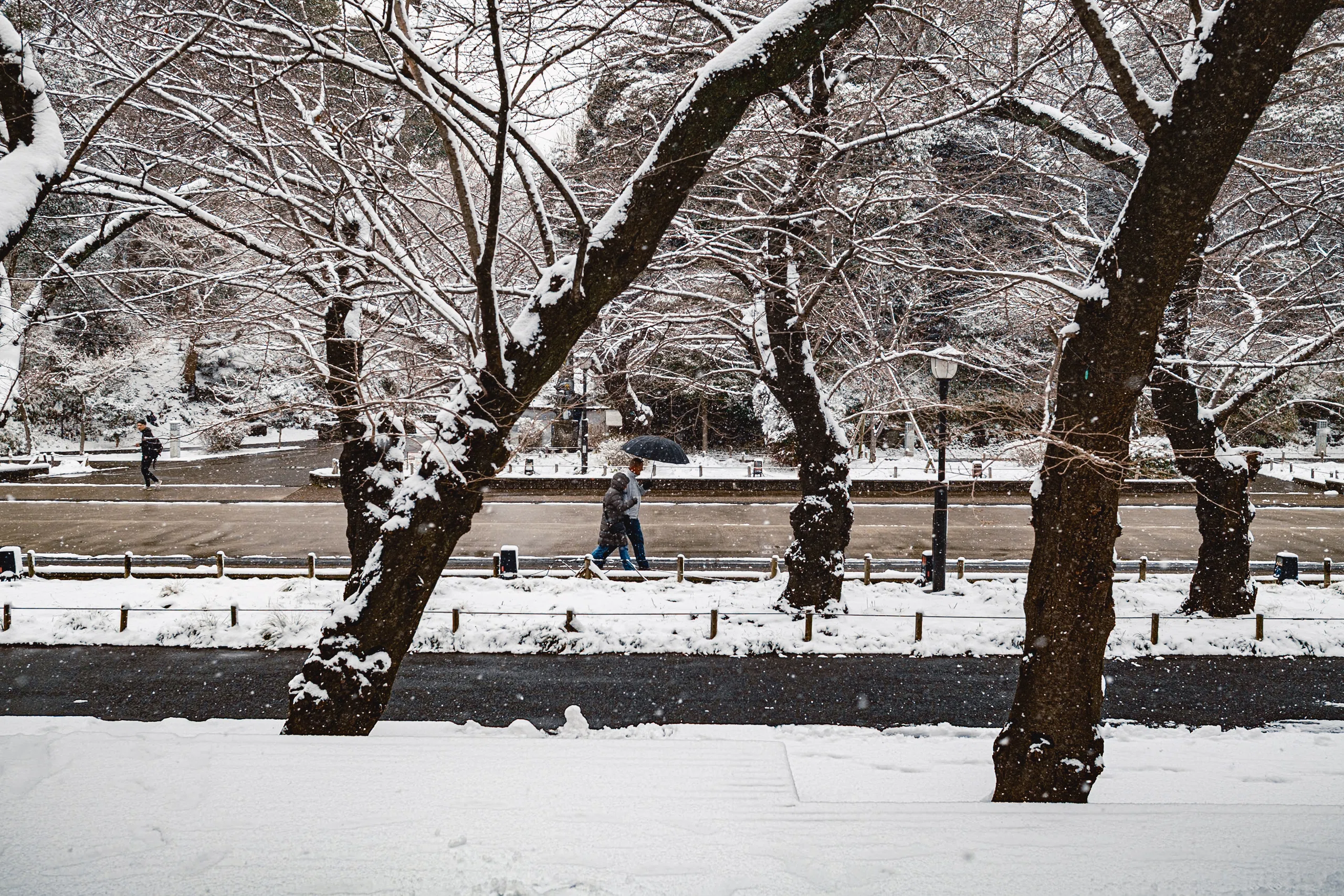 閲覧数10万を一瞬で超えた、上野の雪景色とその納得の理由 | 写真15枚