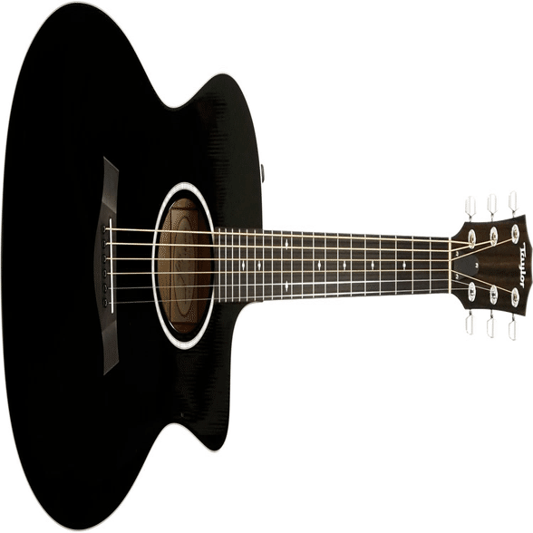 特選中古品！精悍なブラックカラーが印象的なテイラー「214ce DLX BLK