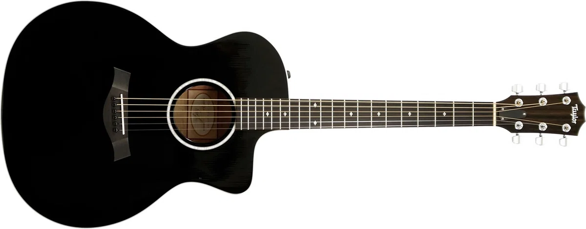 特選中古品！精悍なブラックカラーが印象的なテイラー「214ce DLX BLK