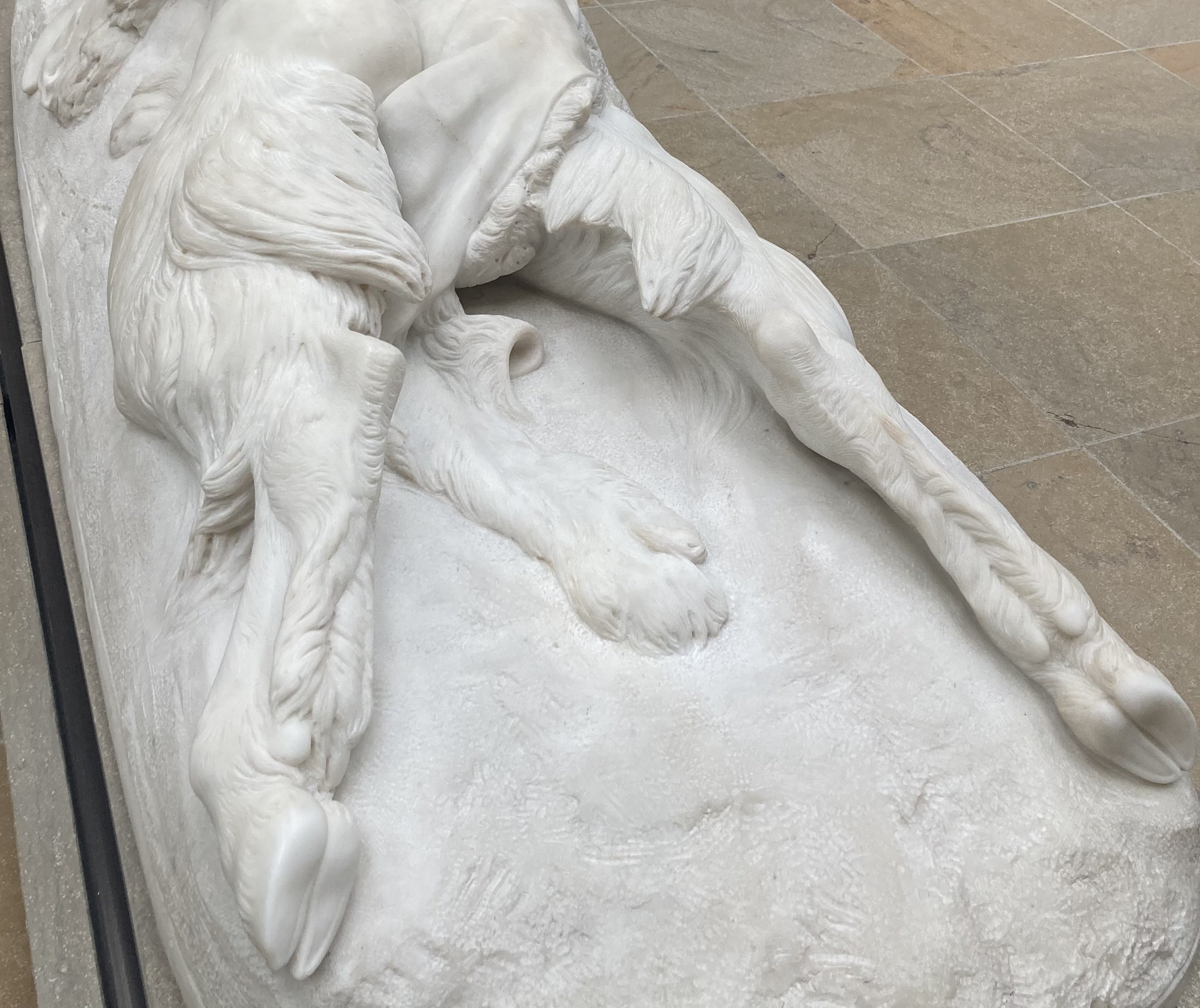 子供のためのオルセー美術館(241)かわいい子熊とびっくりペリカンの