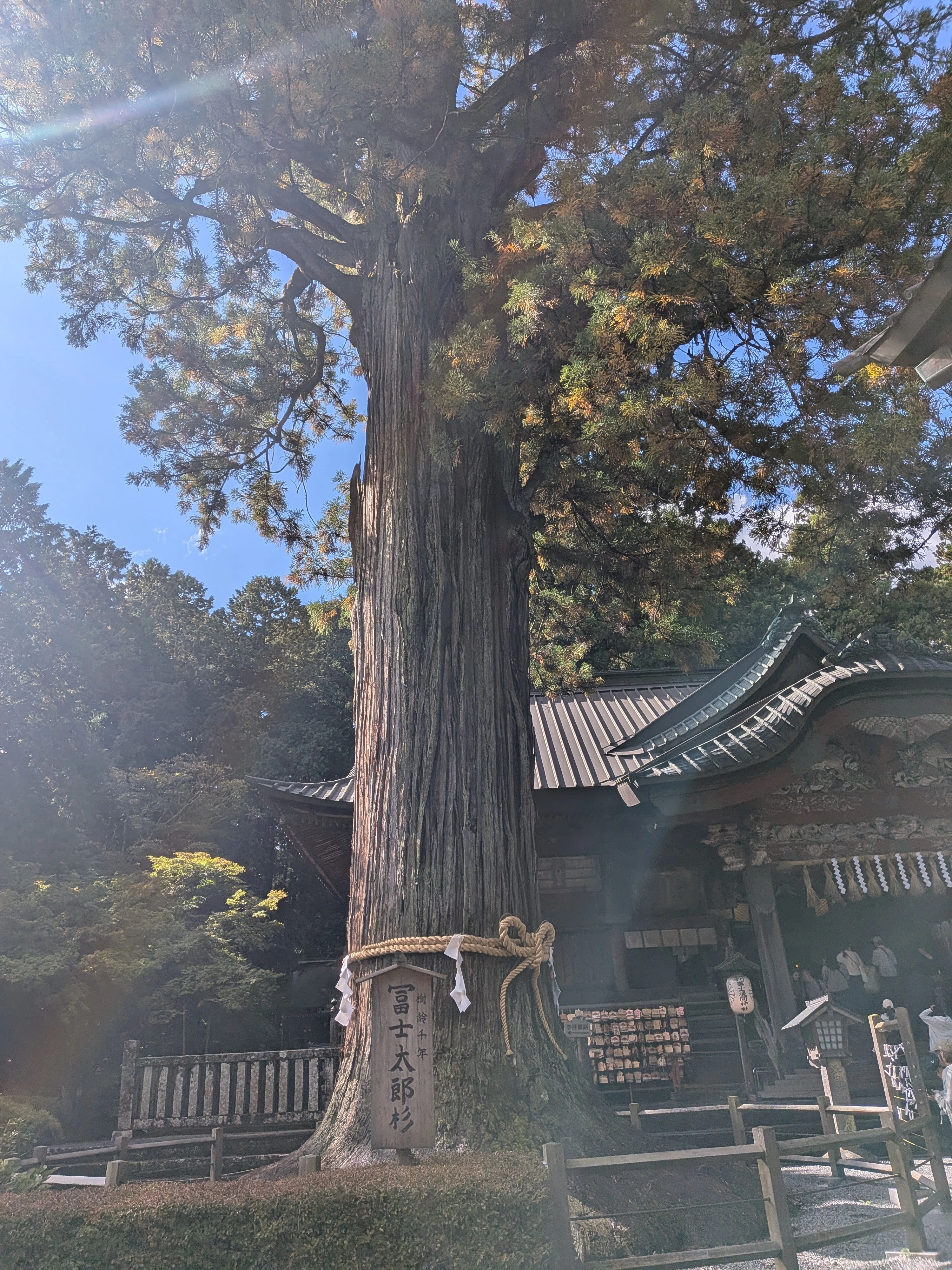 北口本宮冨士浅間神社 はじまりの地へ｜大塚宮と木花咲耶姫の家族神を