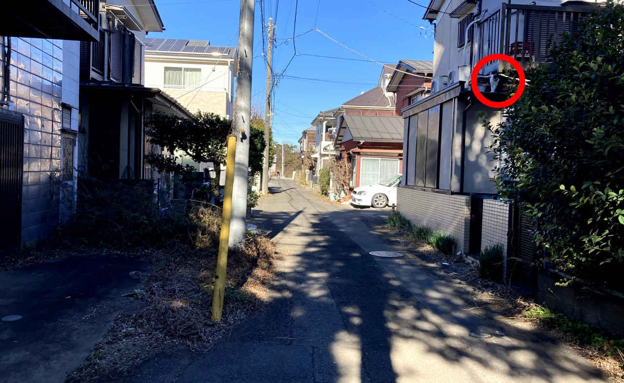 ねこさがし＋雑談ネコノミクス｜猫アイコンには言われたかない