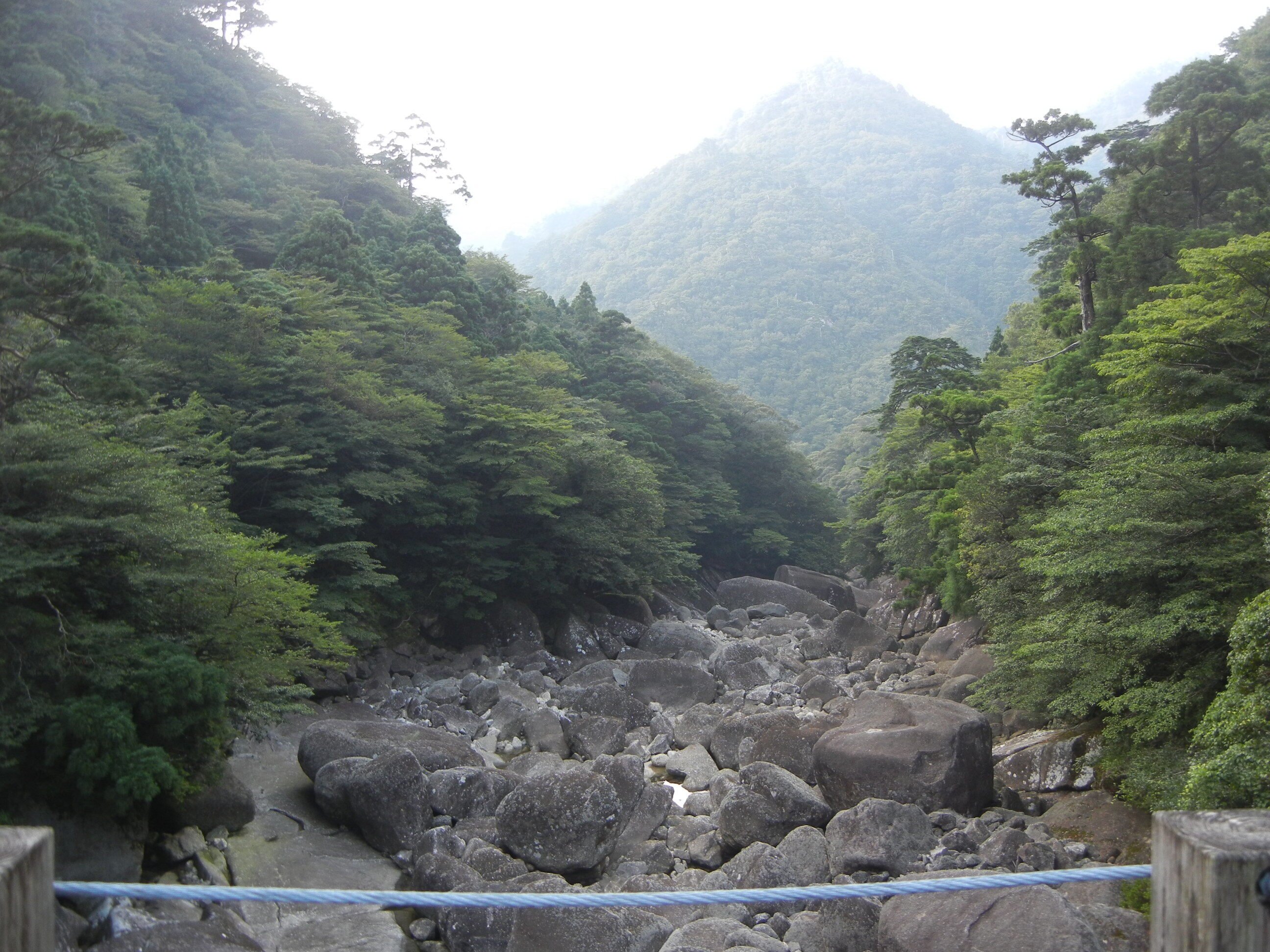 Vol.123 ～屋久島旅行 回顧録～｜シゴトスキー