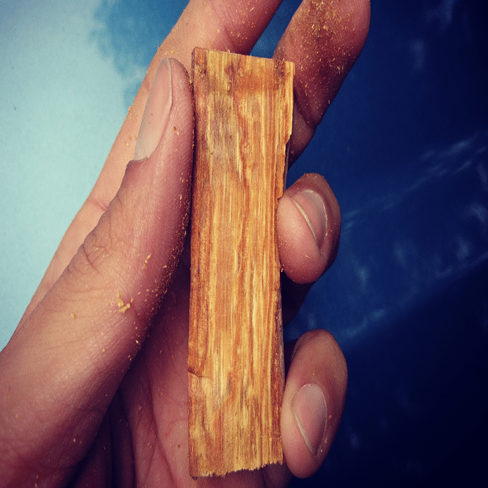 Q&A］浄化に良い香りを教えてください｜Sanga Incense