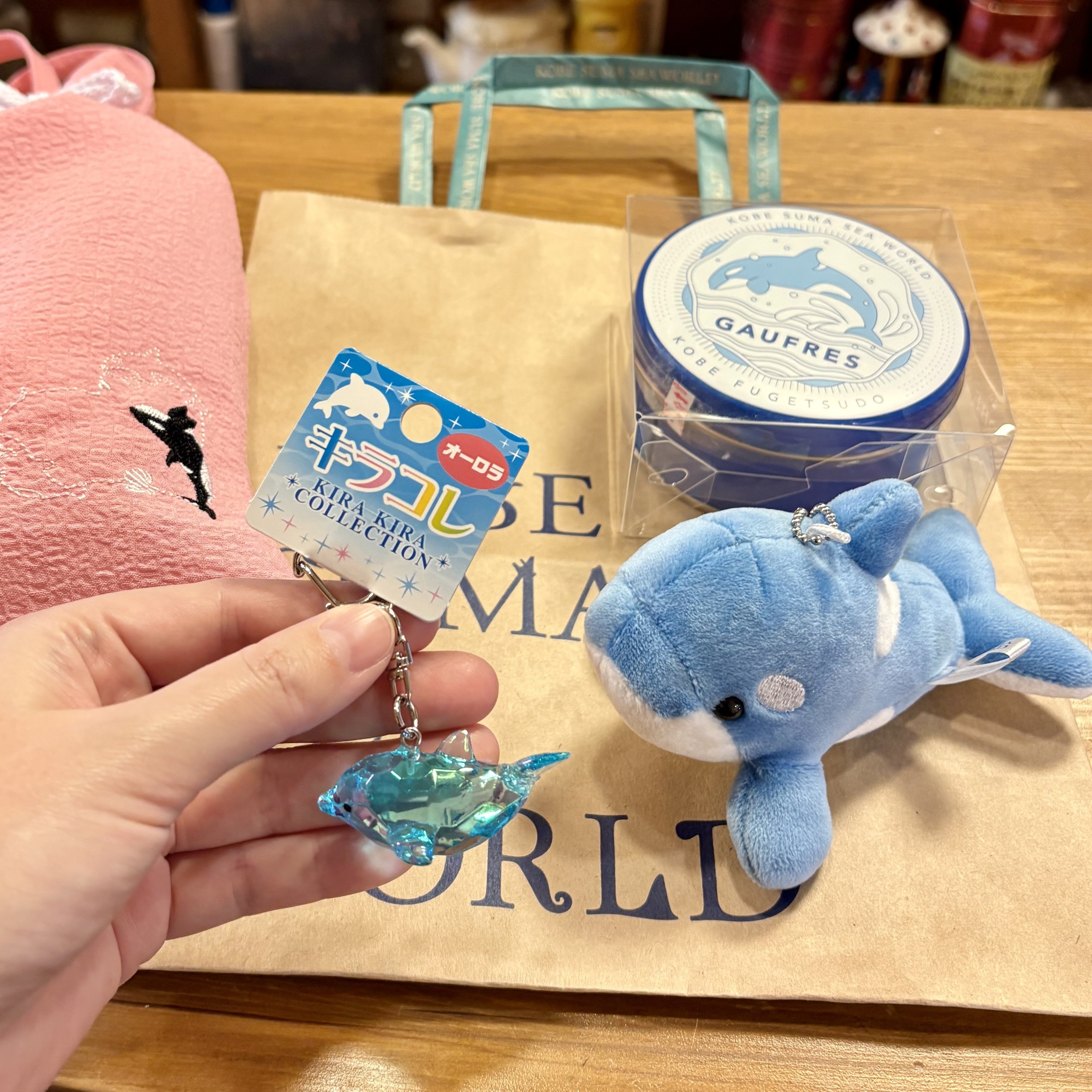 海の世界の仲間たちの違い 〜イルカ？オルカ？シャチの謎〜｜神村咲