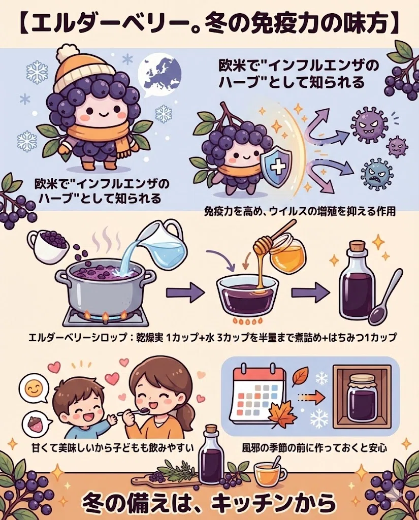 エルダーベリー 効果 効能 免疫力 風邪 インフルエンザ シロップ 作り方
