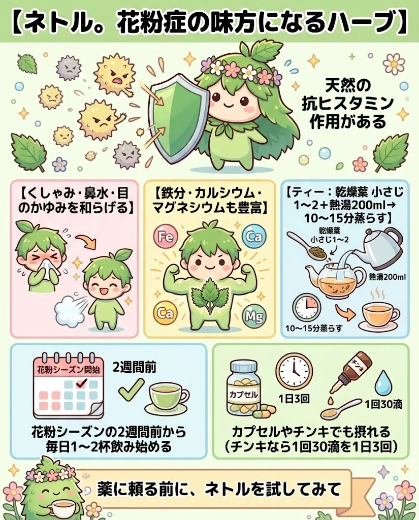 ネトル 効果 効能 花粉症 アレルギー 鉄分 貧血 ハーブティー