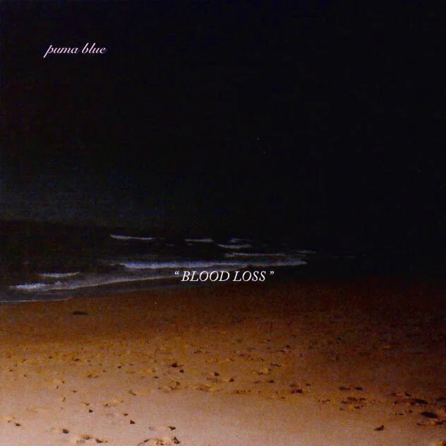 PUMA BLUE Blood Loss 限定12インチ アナログ盤 LP EP 蒼き憂鬱 ー Puma Blue 15作品との対峙｜べチェ