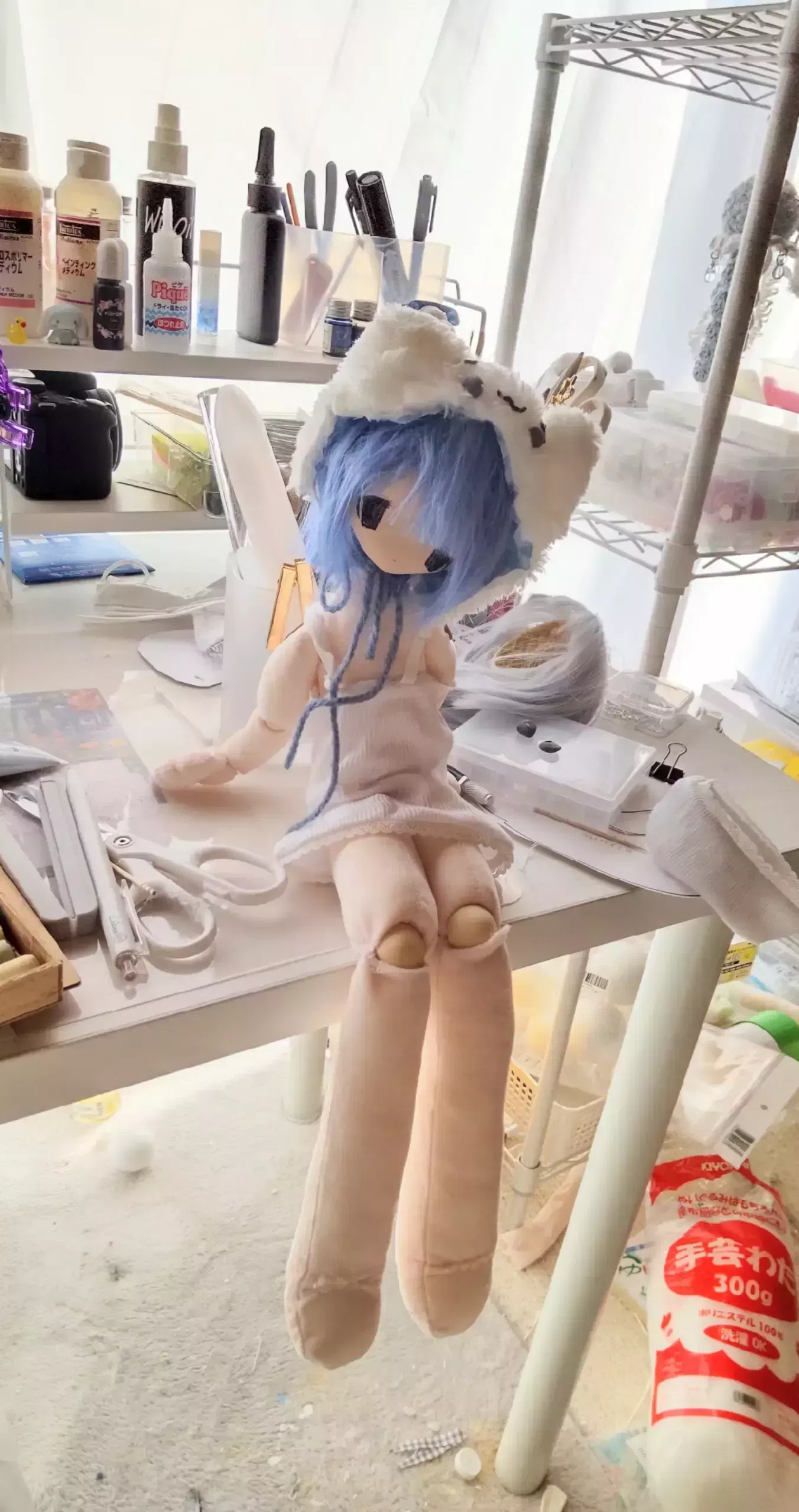 近況 (ドールとぬいぐるみ その他もろもろ)｜tutumi