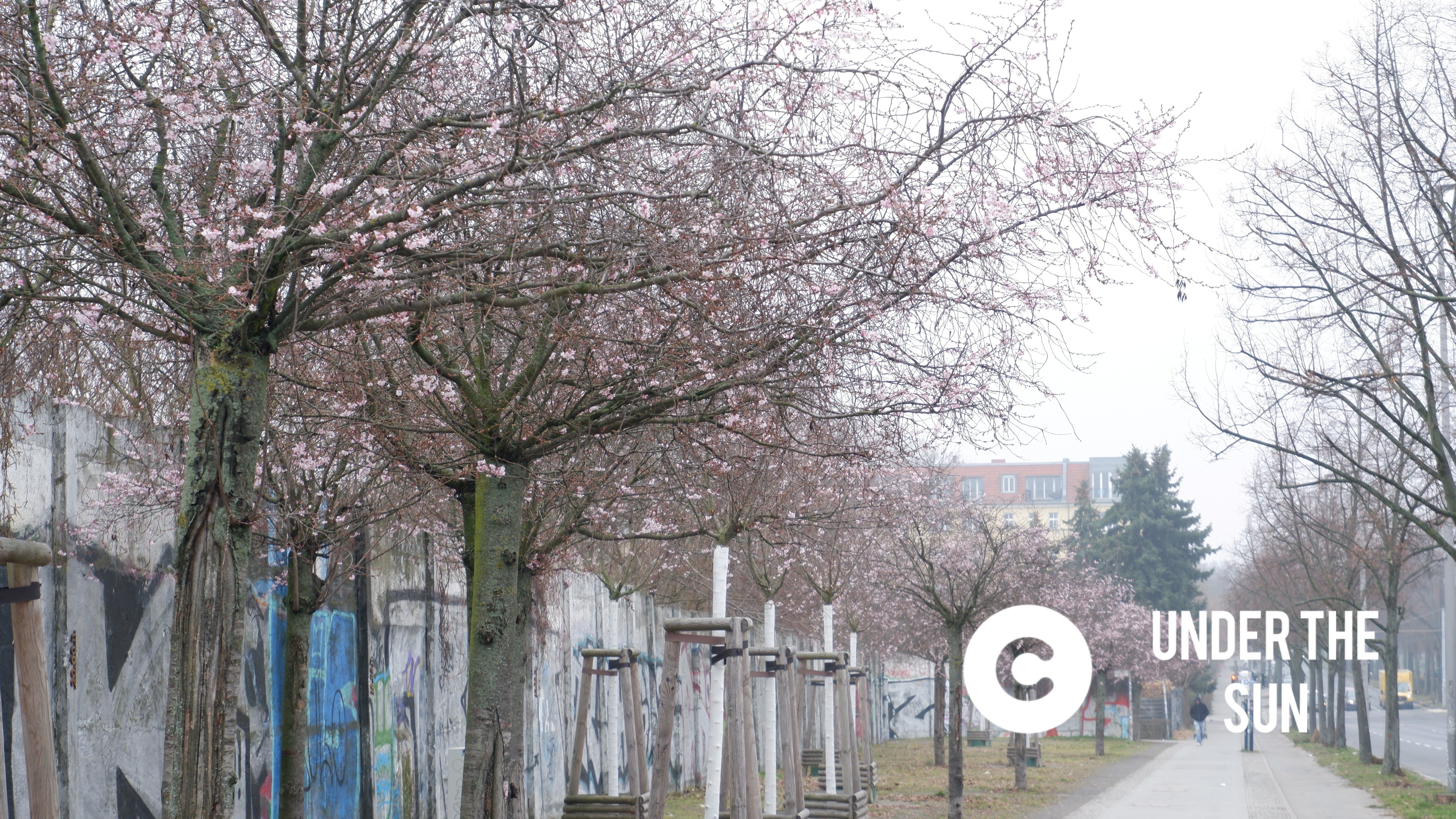 🇩🇪ベルリンの壁③～日本の桜咲く、壁が最初に崩壊した激動の地を