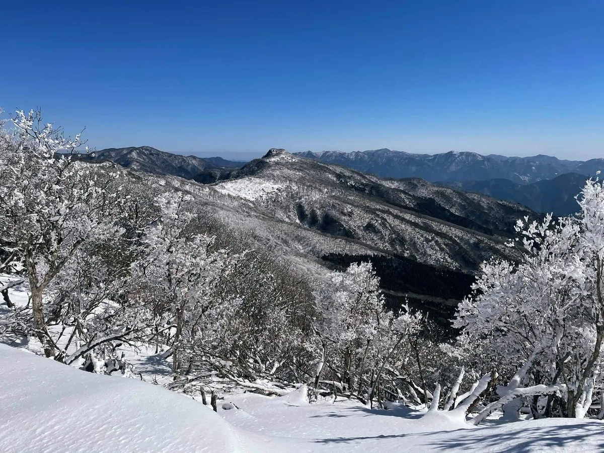 親父山の美しい霧氷