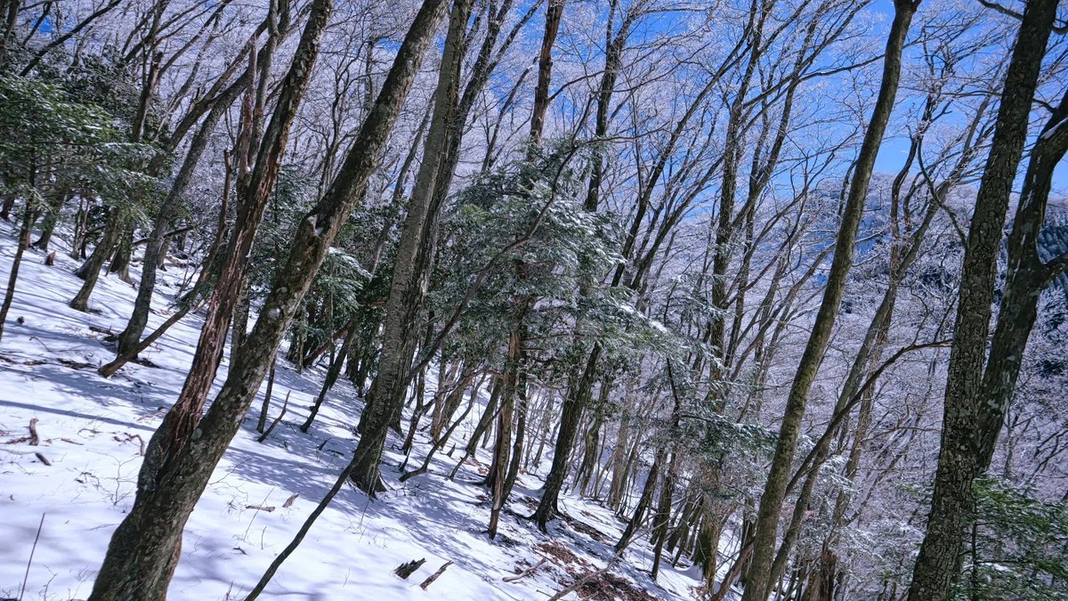 雪の祖母山系・親父山を登る