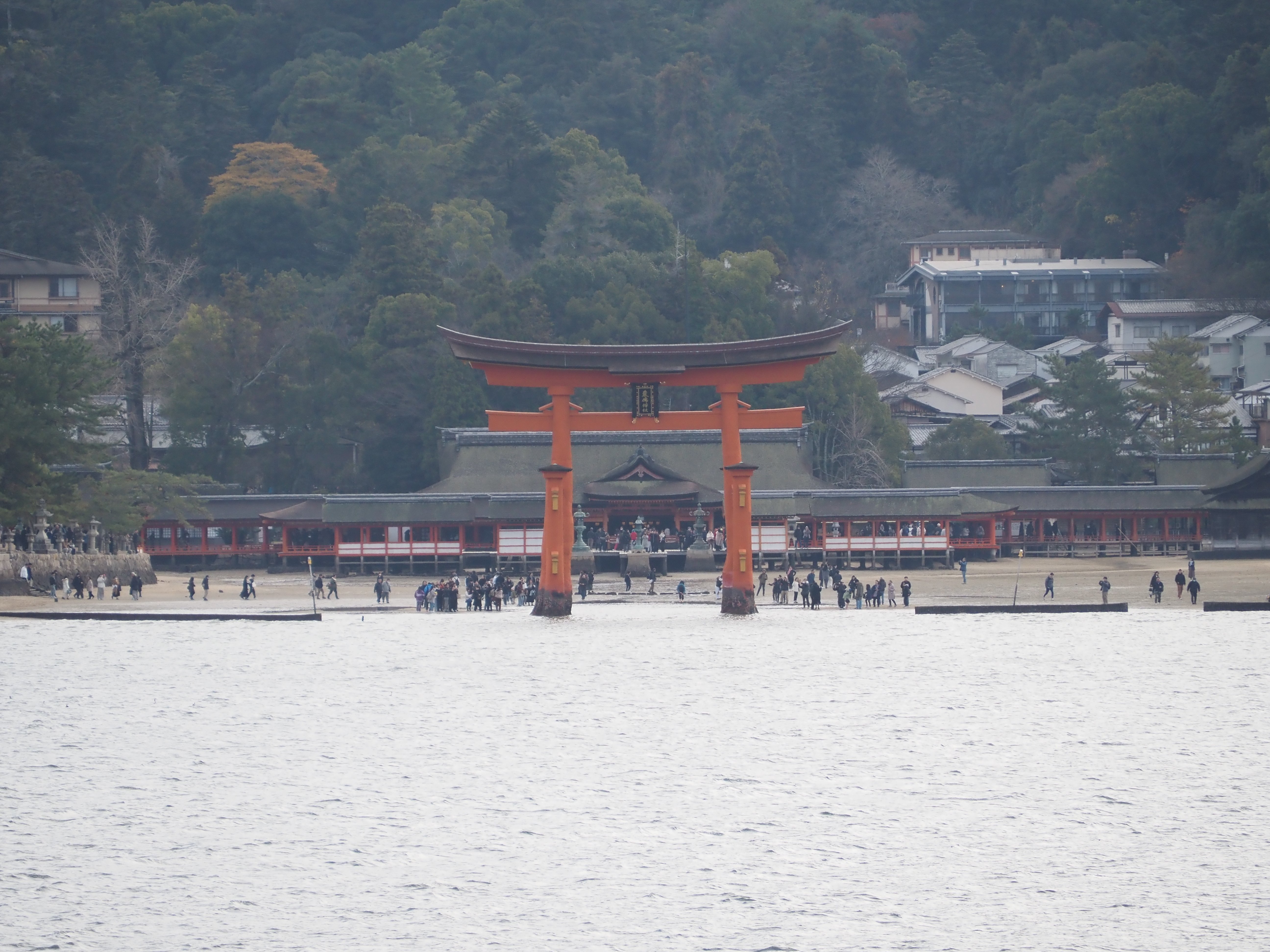 ざつ旅×日本三景スタンプラリー（宮島編）｜あにりん塩酸塩⌬