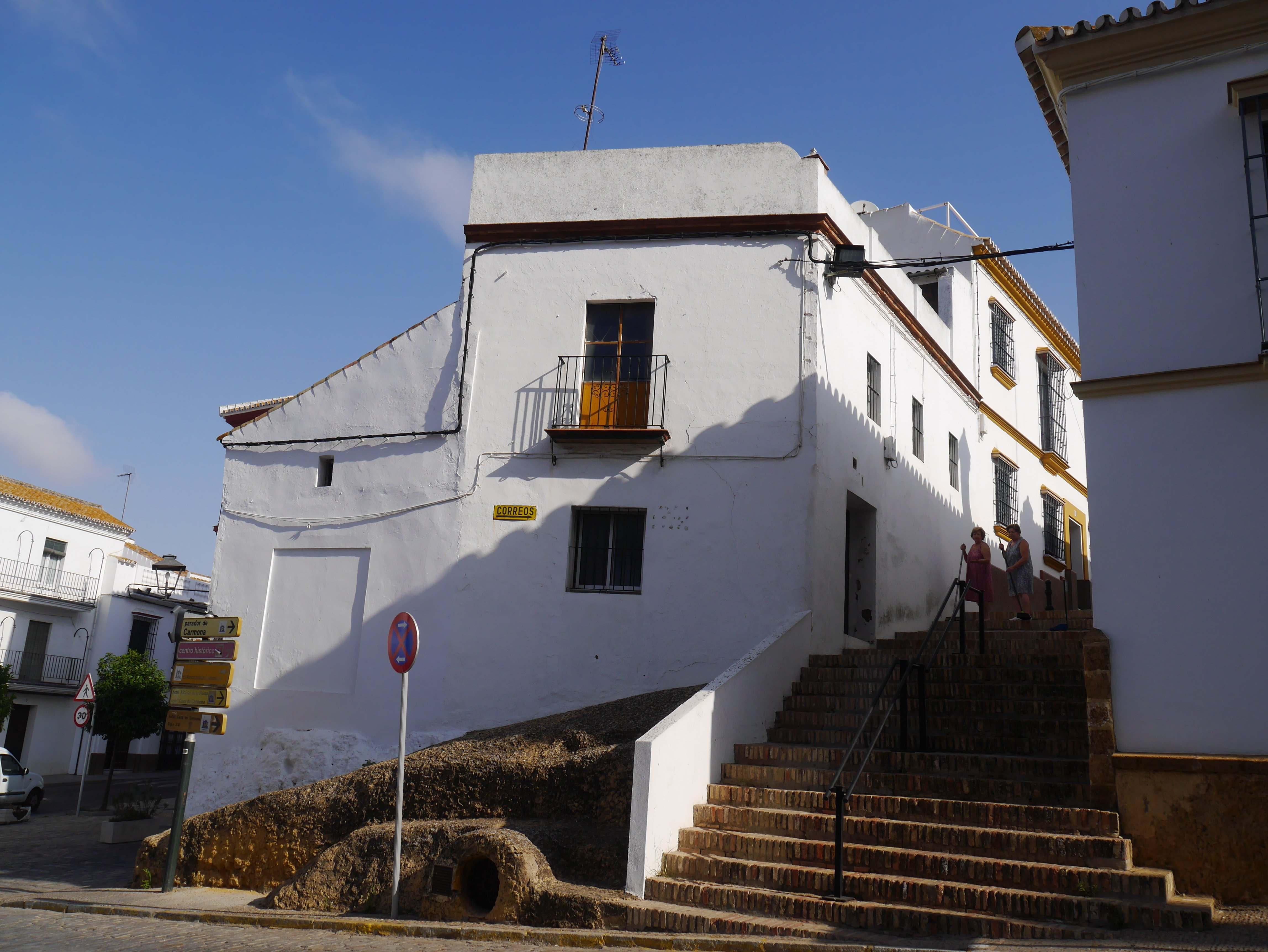 カルモナ：歩いて行けるひまわり畑 スペイン（アンダルシア地方）｜moza