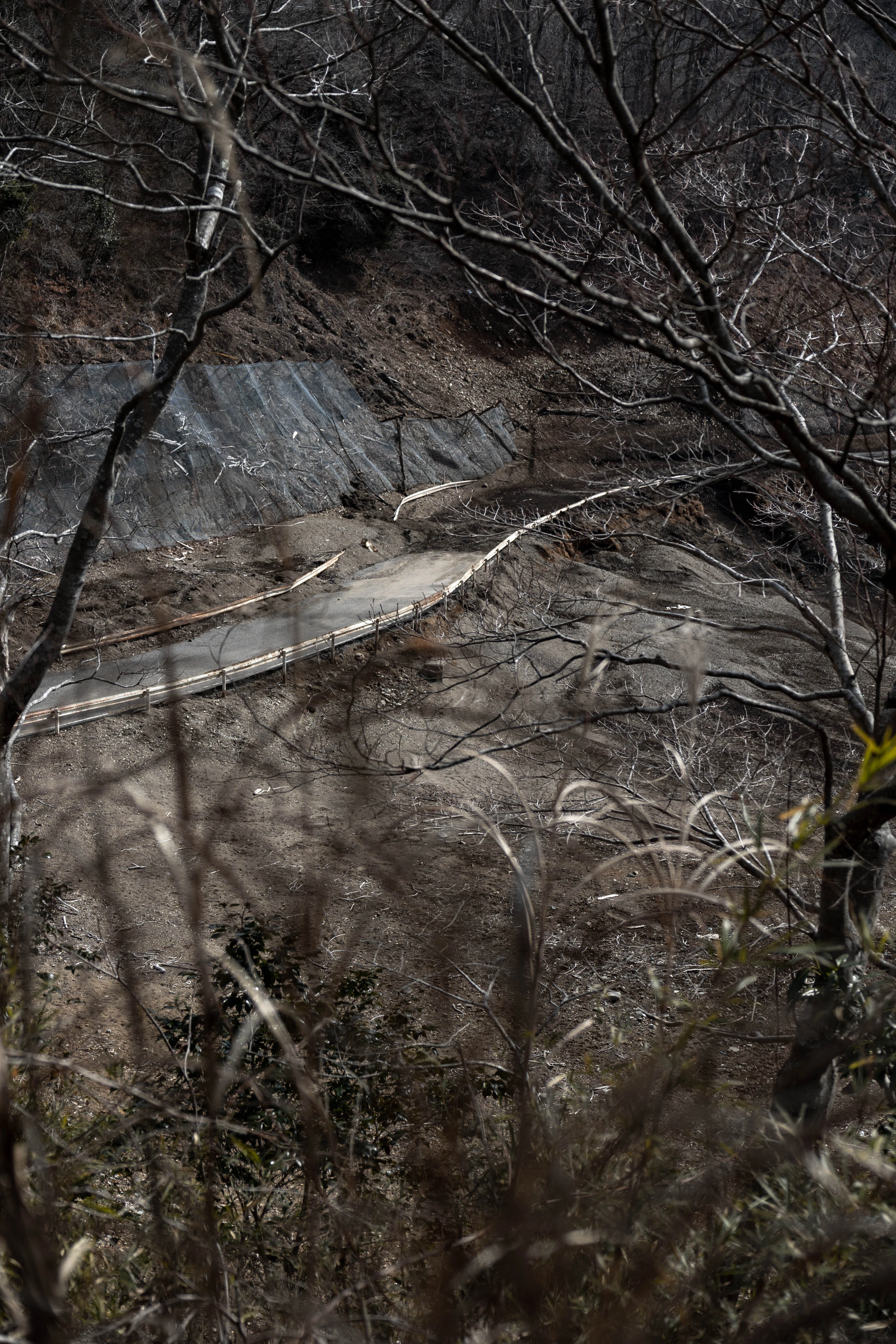 写真集：2026年2月 宮ケ瀬湖渇水｜Schaccie/しゃっちー