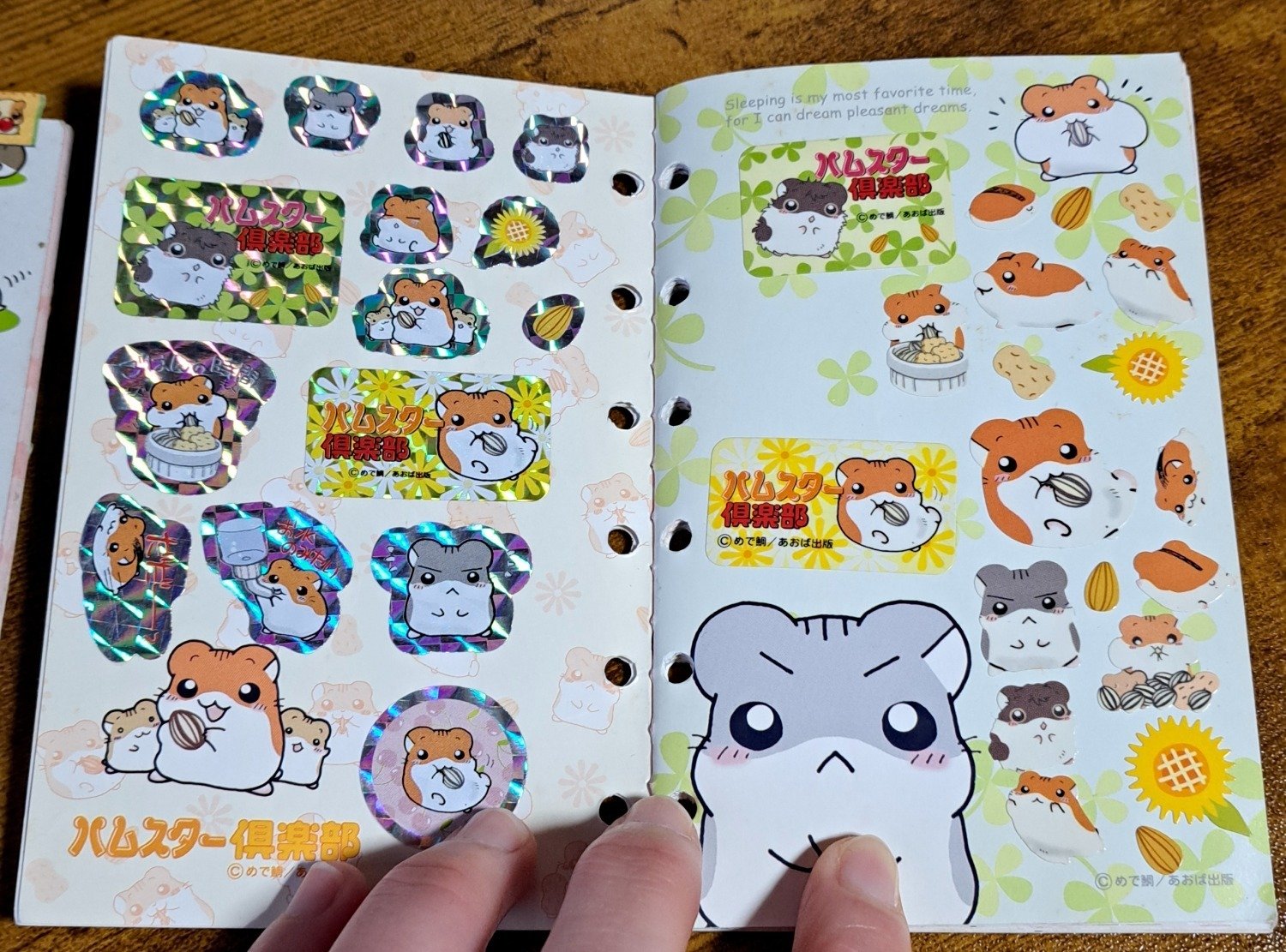 当時物】リアル平成女児のシール帳を開けてみる｜ボンド / Luna☤antiqua