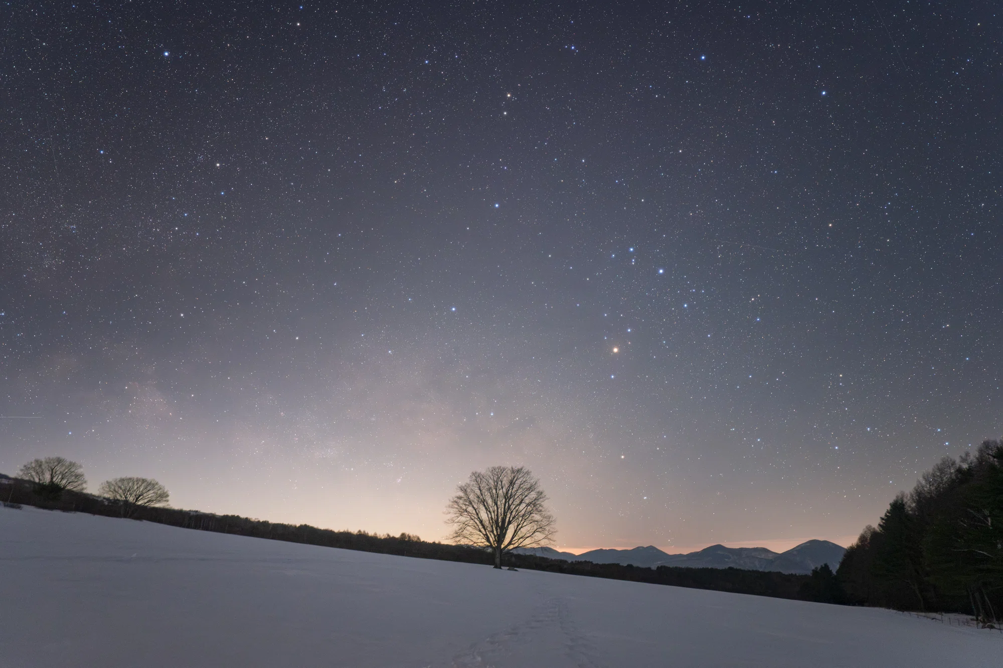 2月15日の空｜雪原に昇る天の川を求めて｜星空写真家 × 会社役員