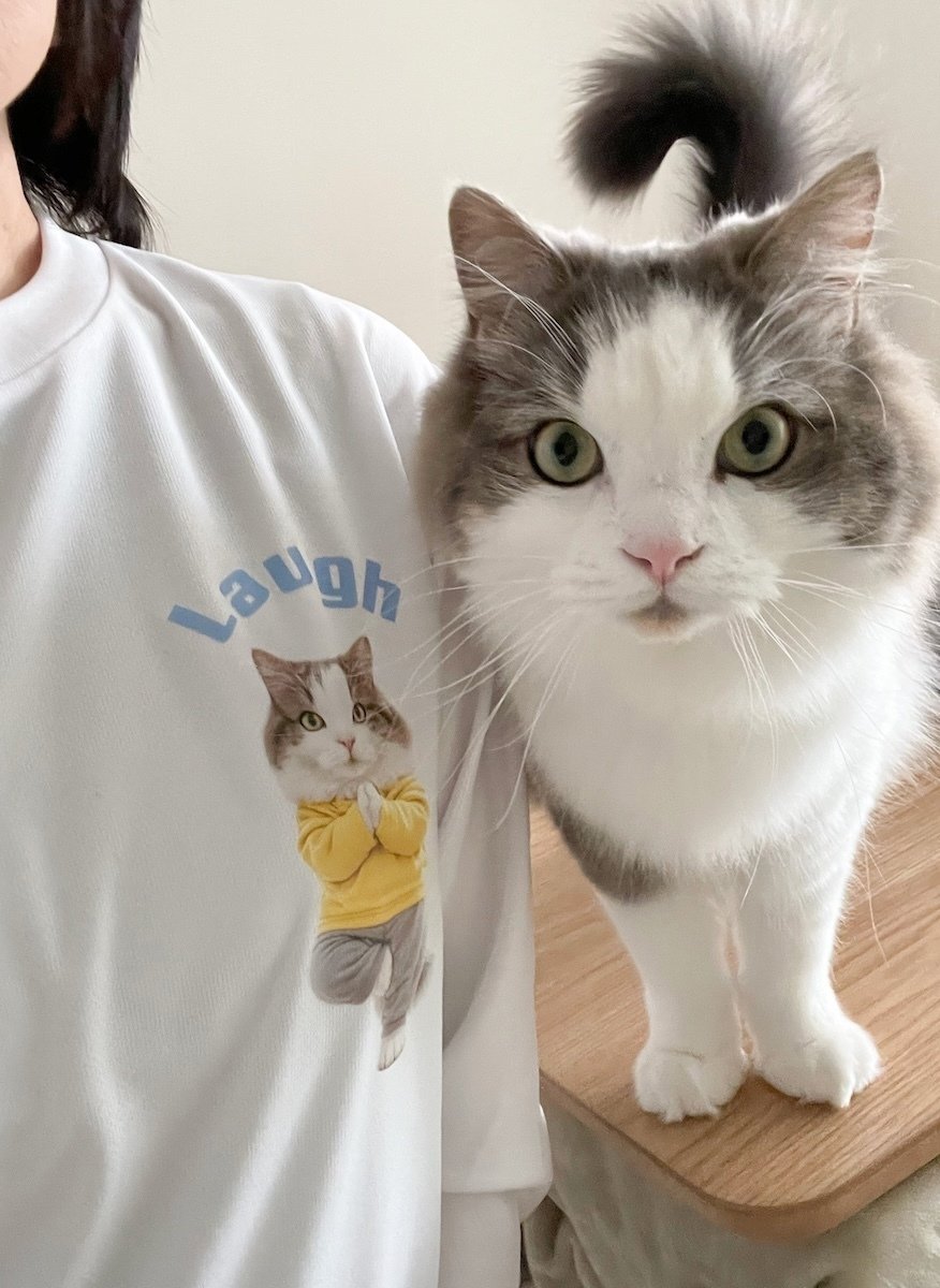 予想以上に可愛いTシャツの猫｜みちゅねこ