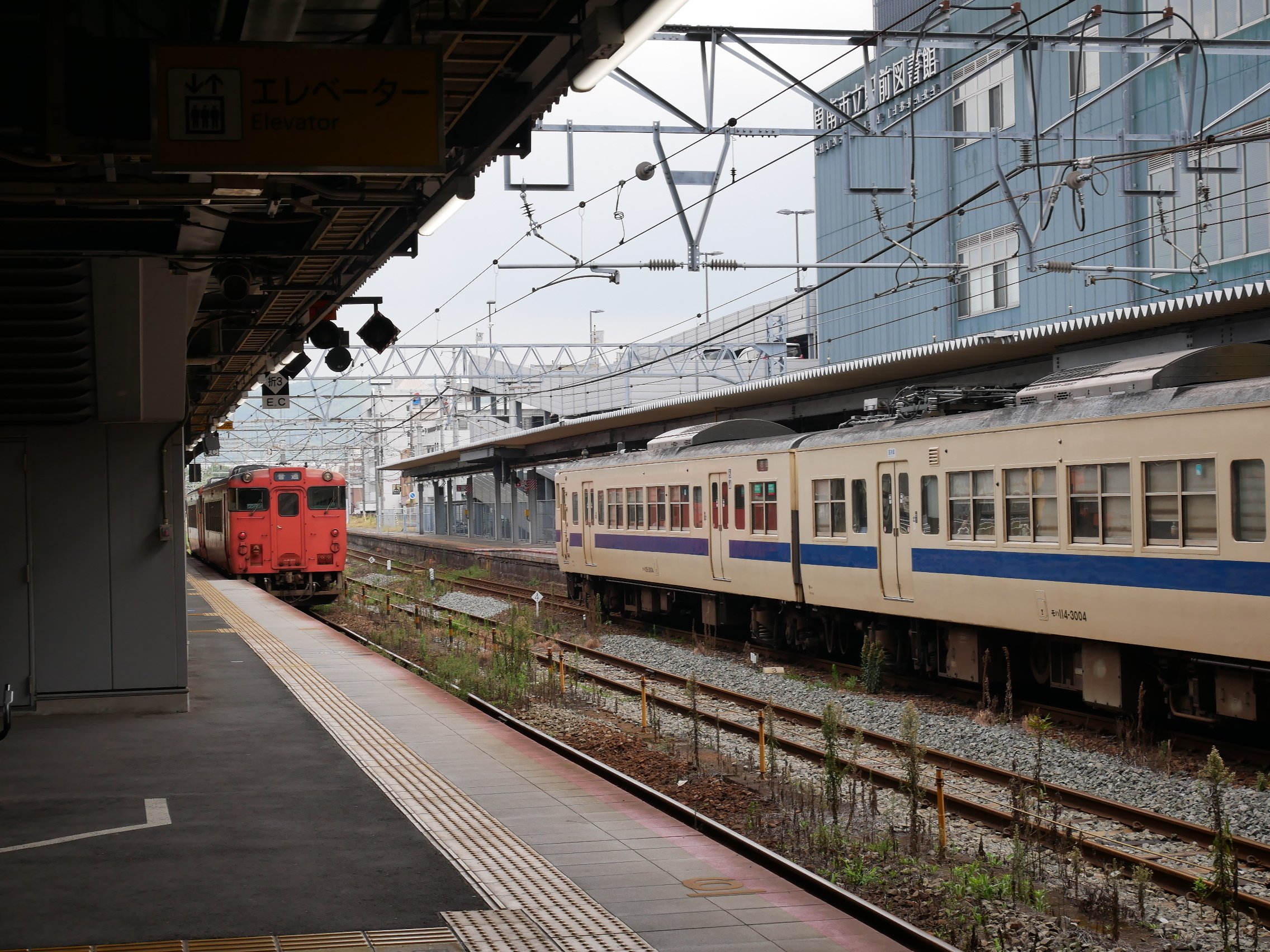 まさかの乗り遅れ！ついに九州上陸いたします。｜東マト