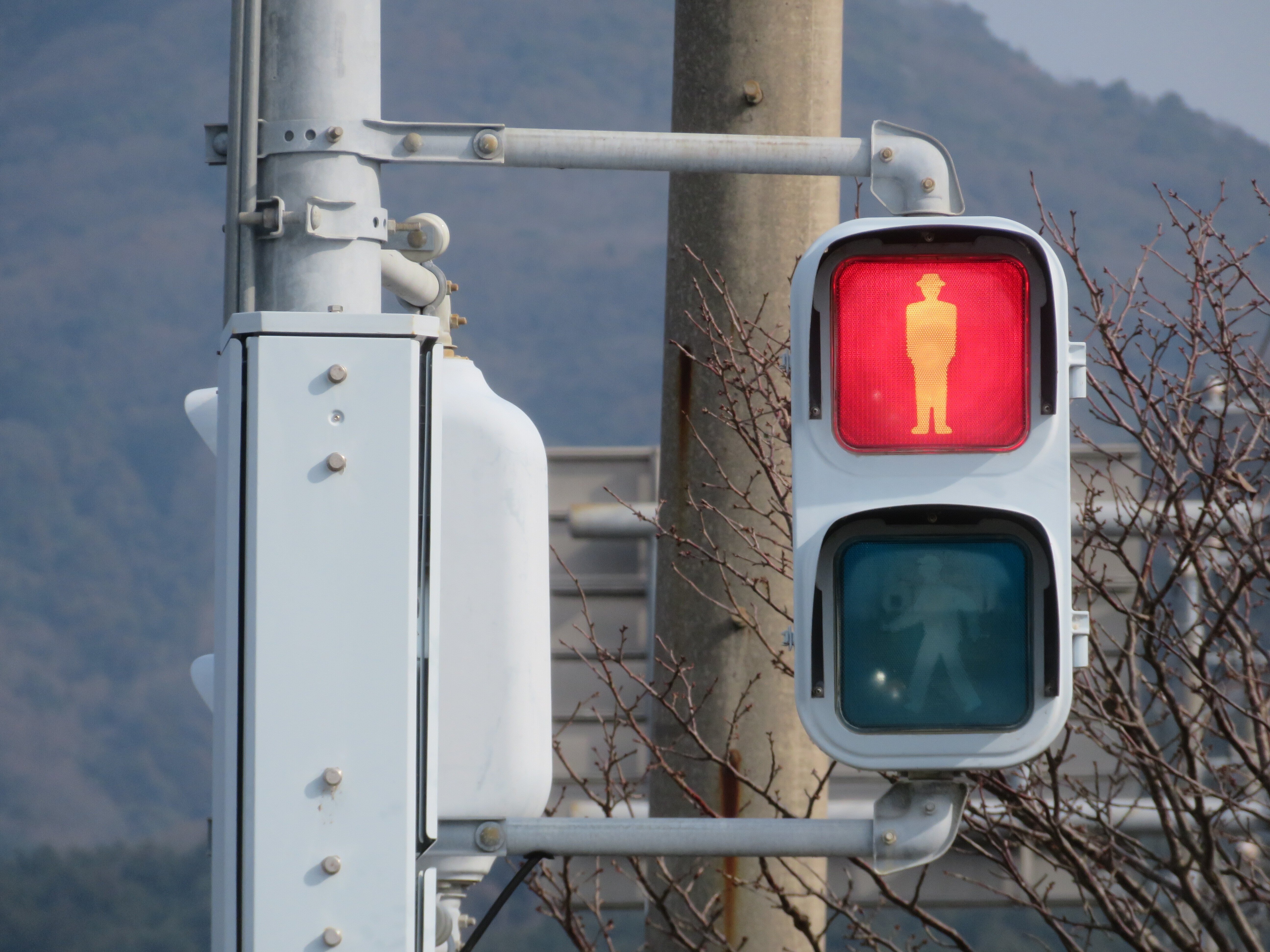 11176】桜本児童遊園前【山口県の信号機】｜るーと