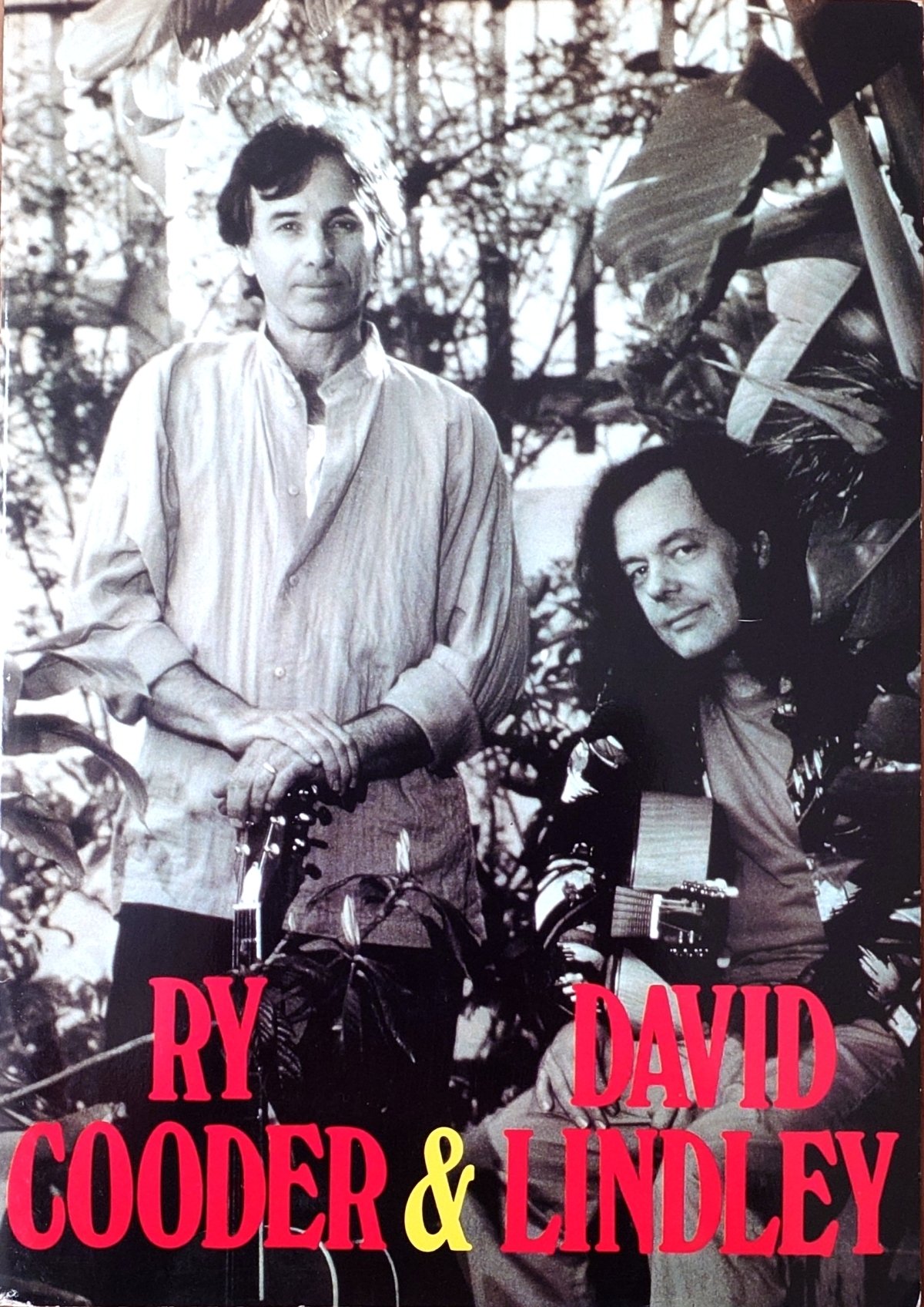 コンサートの想い出～Ry Cooder & David Lindley 1990年～｜Akko