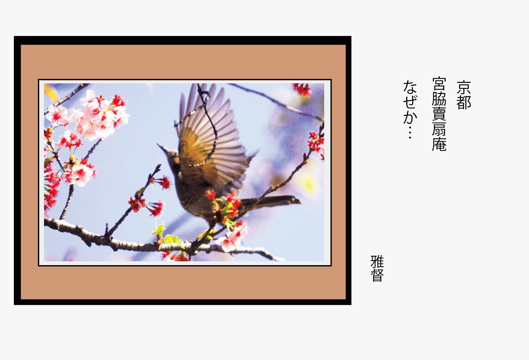 スマホカメラを愉しむ ポエティックフォトグラフィーの候補として選抜