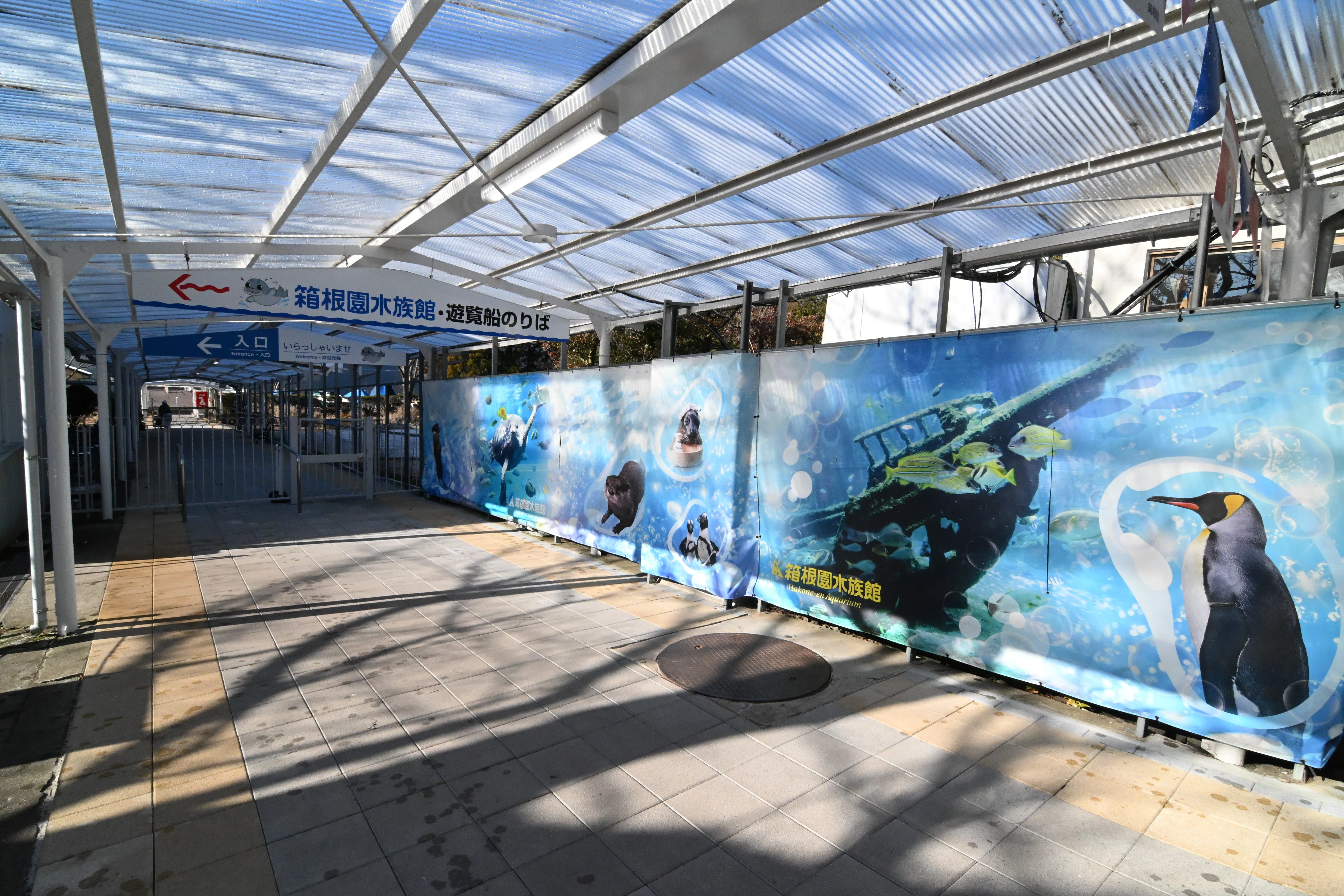 20260214_箱根園水族館【Nikon Z50IIと水族館】｜山ネズミ