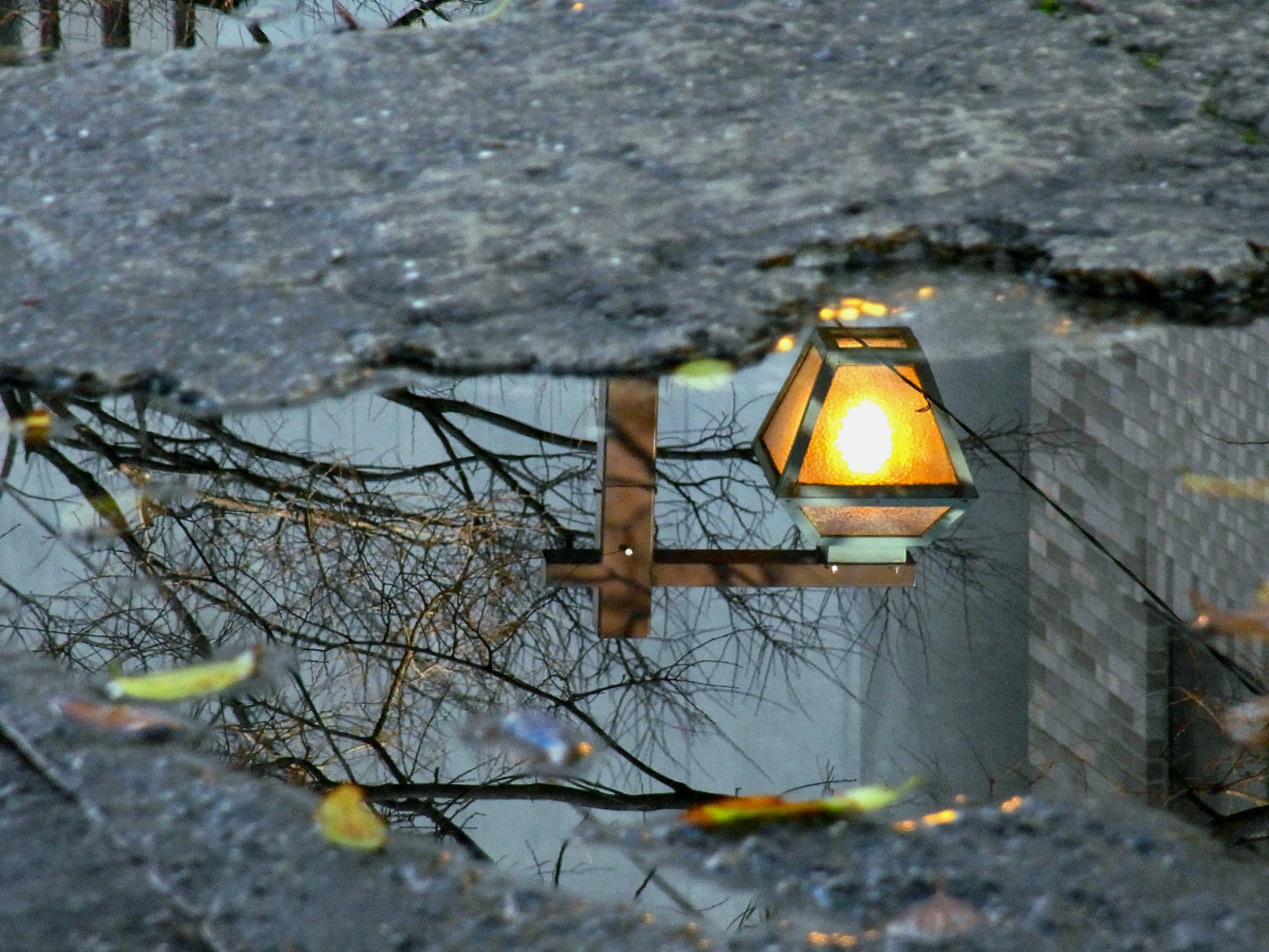 雨上がり…｜coastline