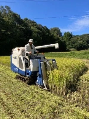 稲刈りを終えて【水津 満共、穂阪 麻衣】｜浜田市 協力隊担当