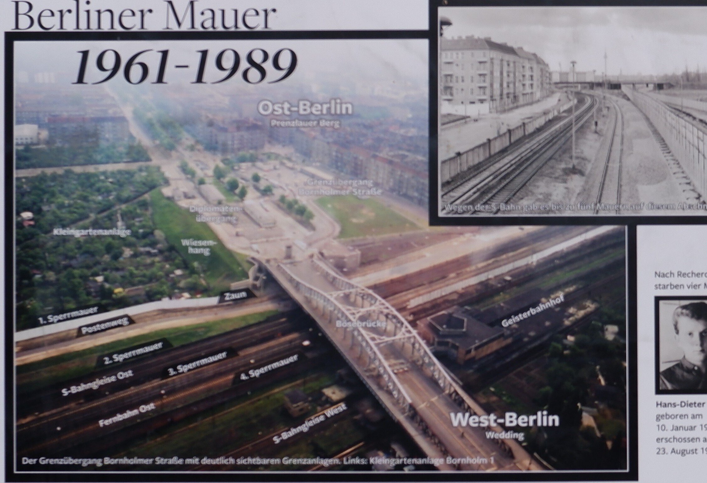 🇩🇪ベルリンの壁③～日本の桜咲く、壁が最初に崩壊した激動の地を